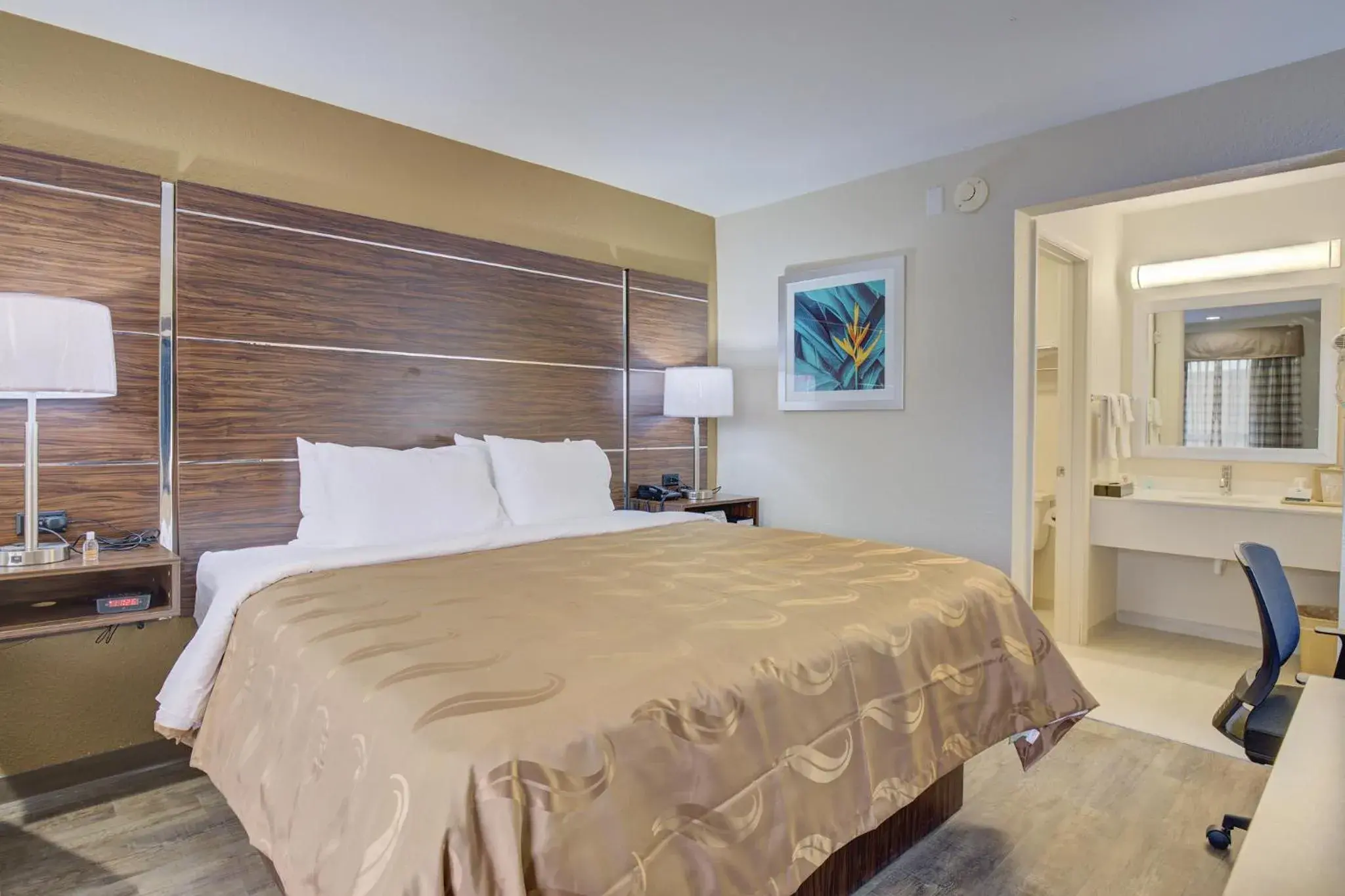 Bed in Quality Inn & Suites Bed in Quality Inn & Suites