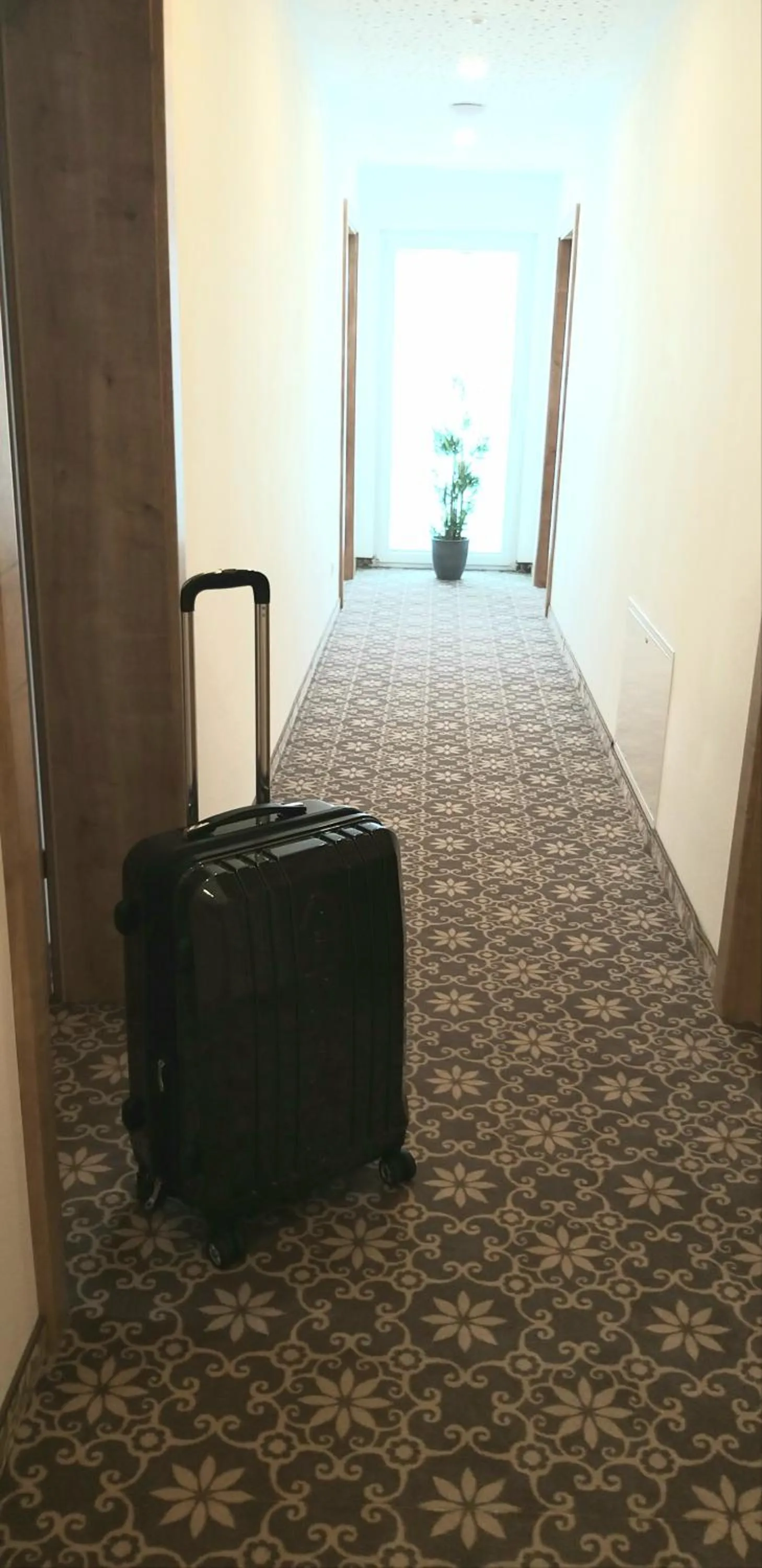 Business facilities in Haidinger's Boutique Domizil