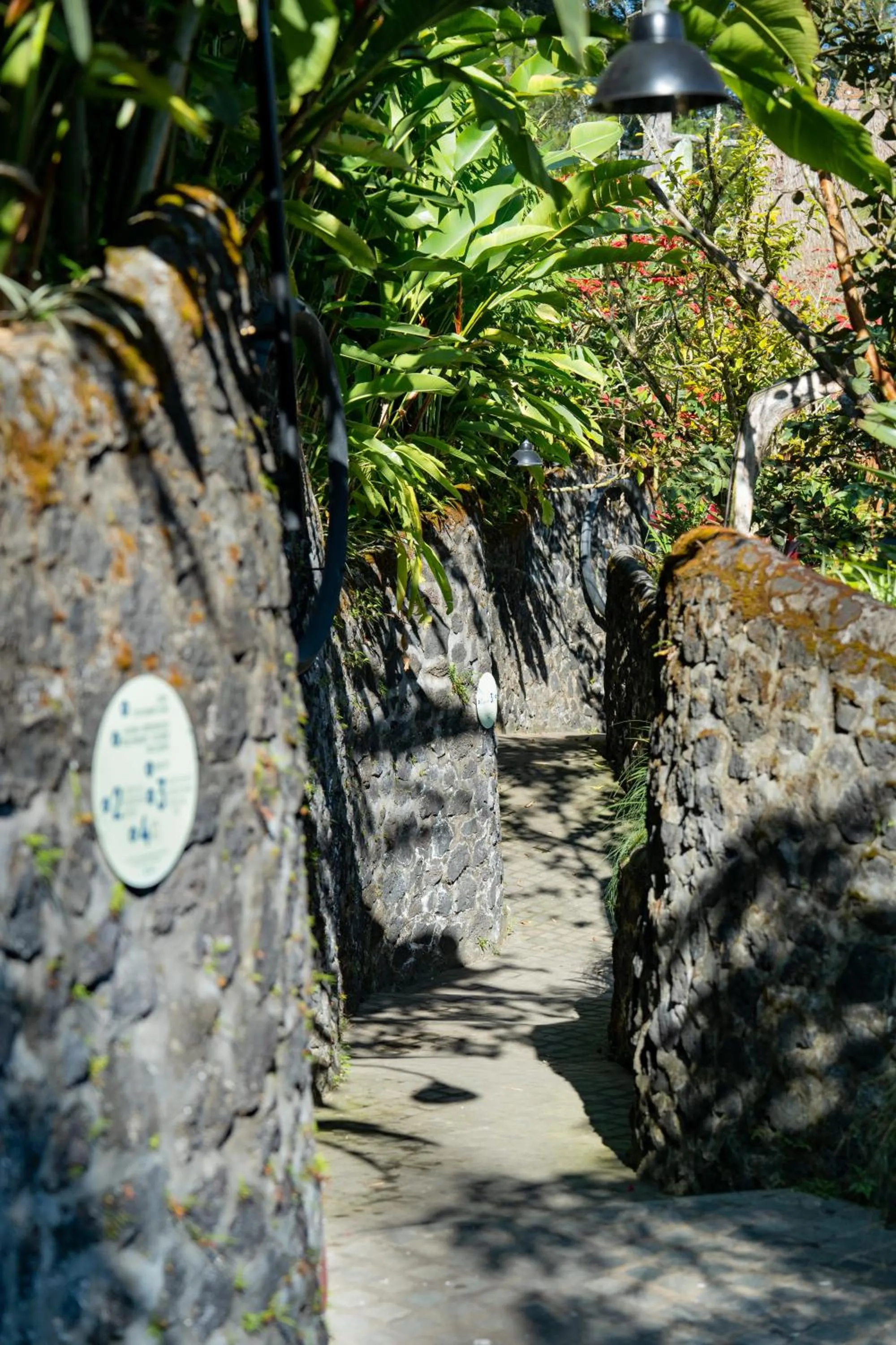 Garden view in Tira Vilagna Suites & Spa