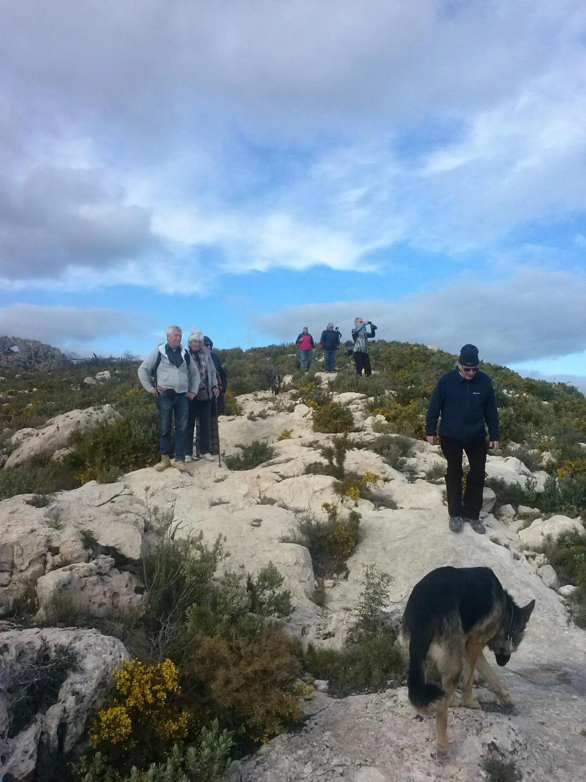 Pets in L'Almàssera Casa Rural & Restaurant