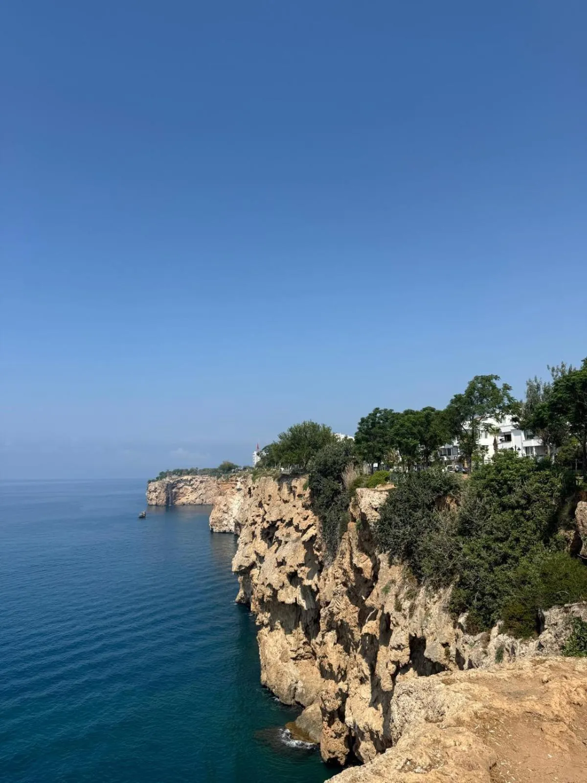 Off site in Z-Suites