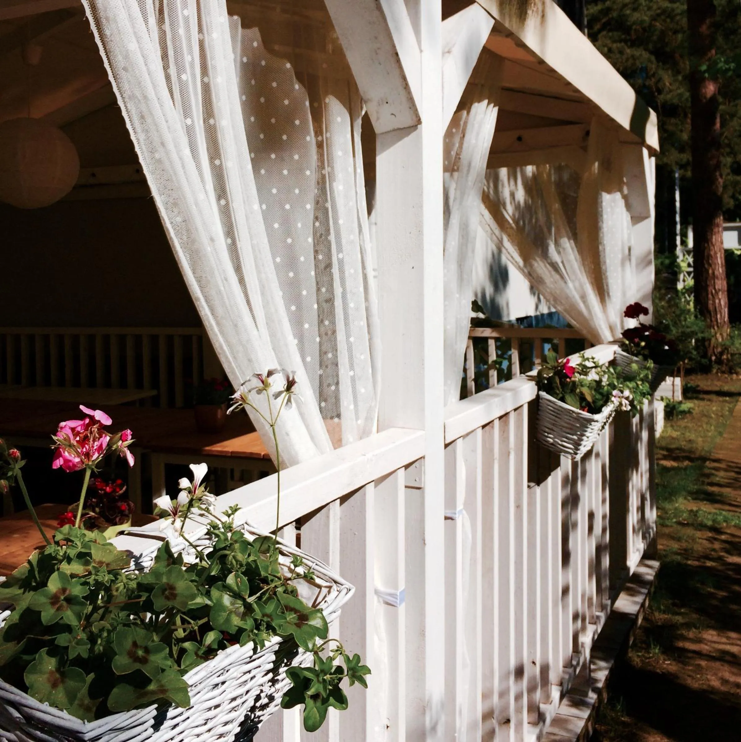 Garden in Villa Flaming