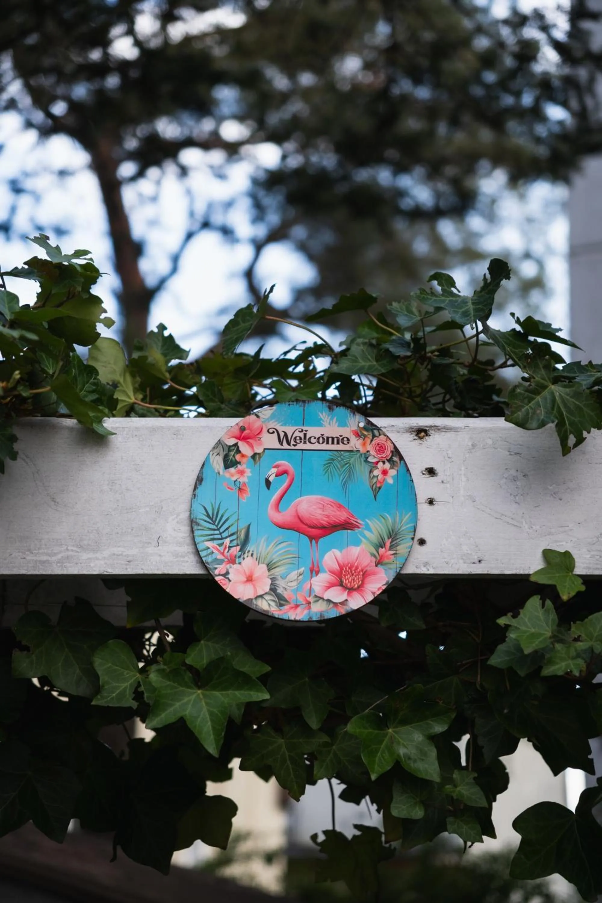 Garden in Villa Flaming