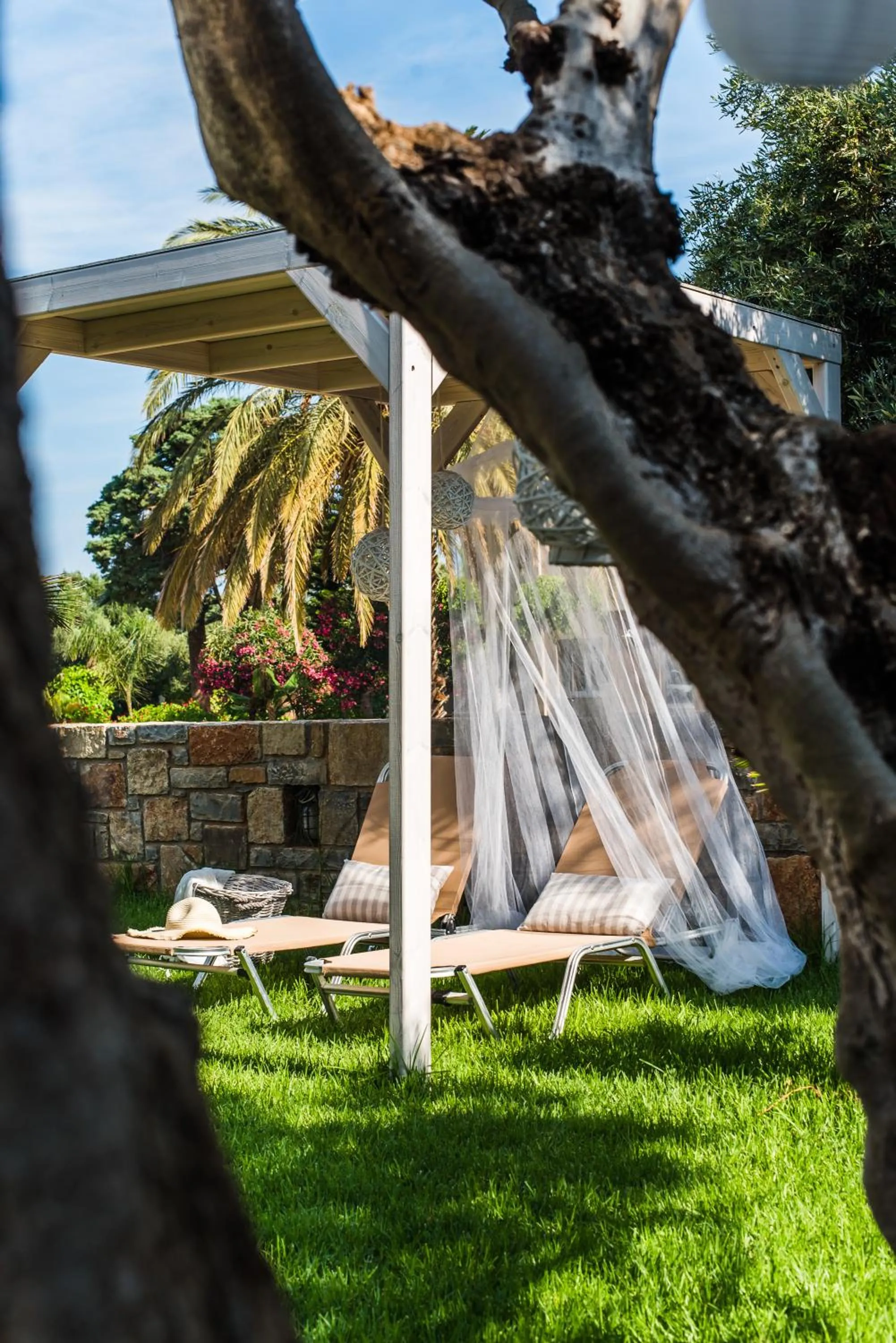 Garden in Mirage Studios