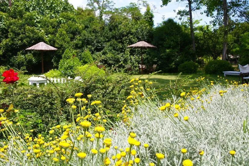 Garden in Ktima Dadouli