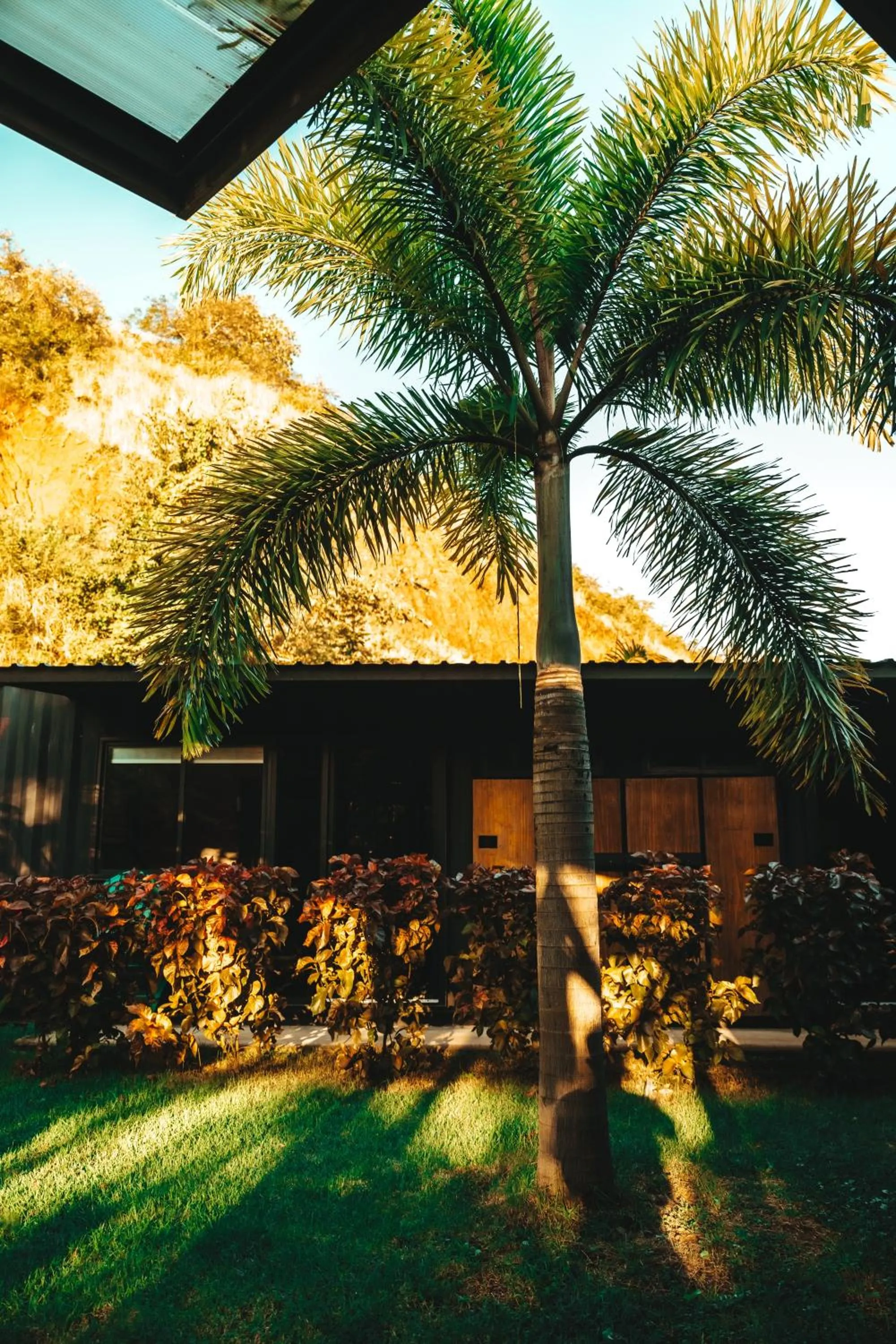 Garden view in Wao Jungle Venao