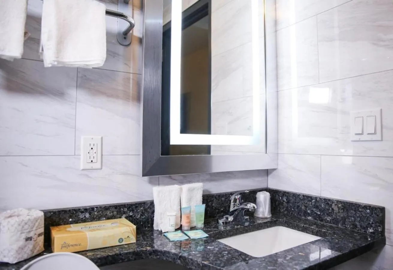 Bathroom in Casa Blanca Hotel Brooklyn Downtown