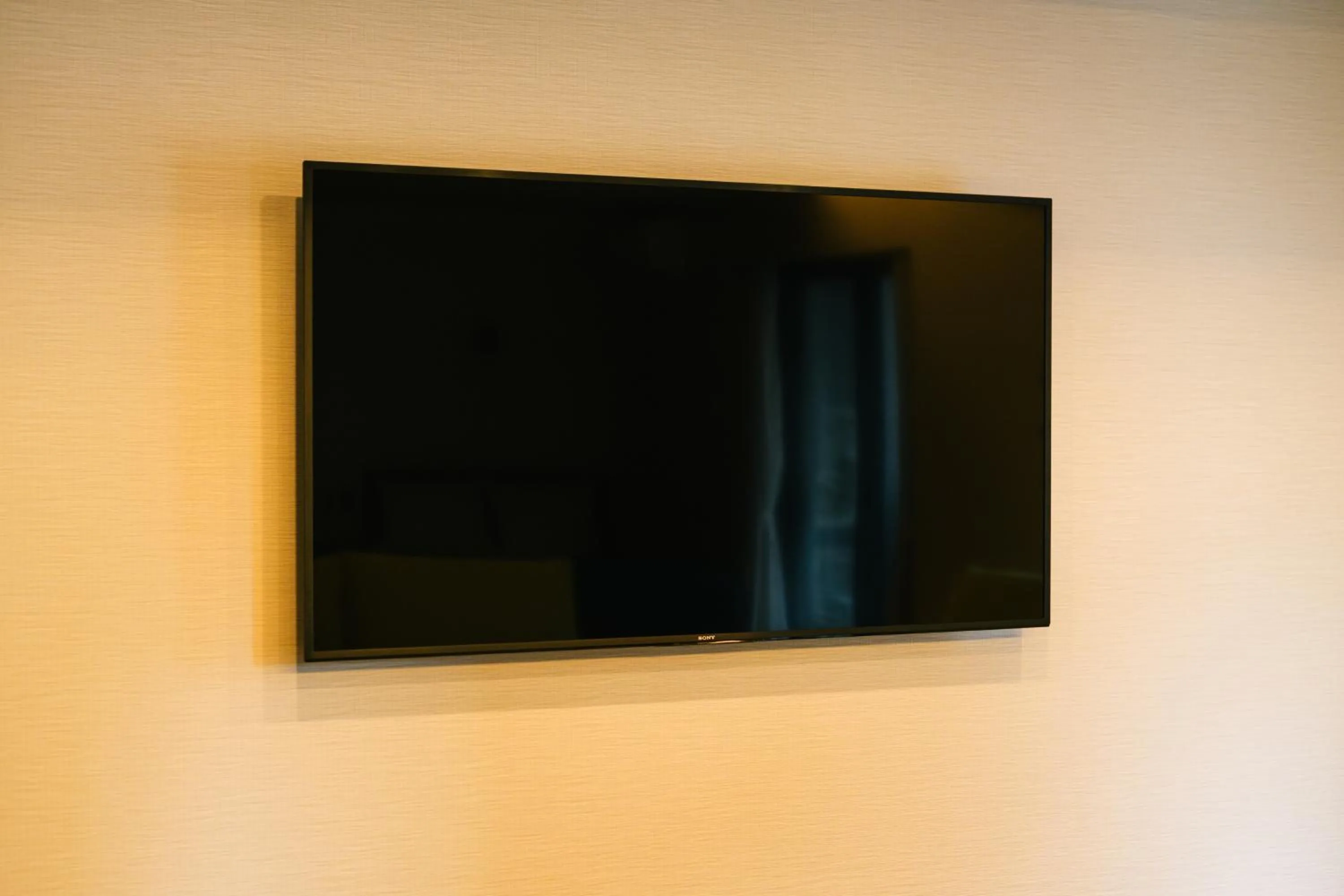 TV and multimedia in Hotel Iori ホテル庵