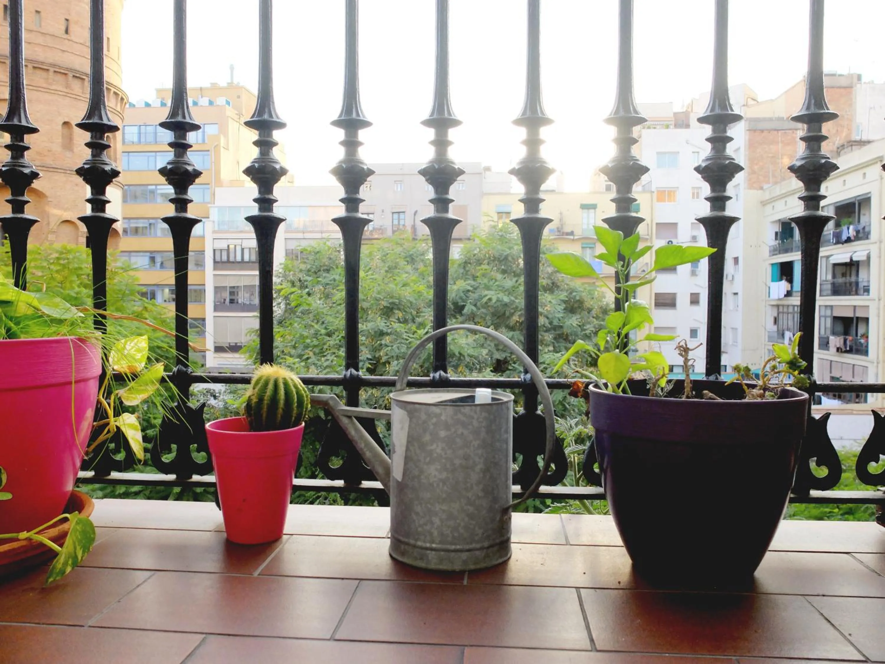 Balcony/Terrace in Fabrizzio's Petit