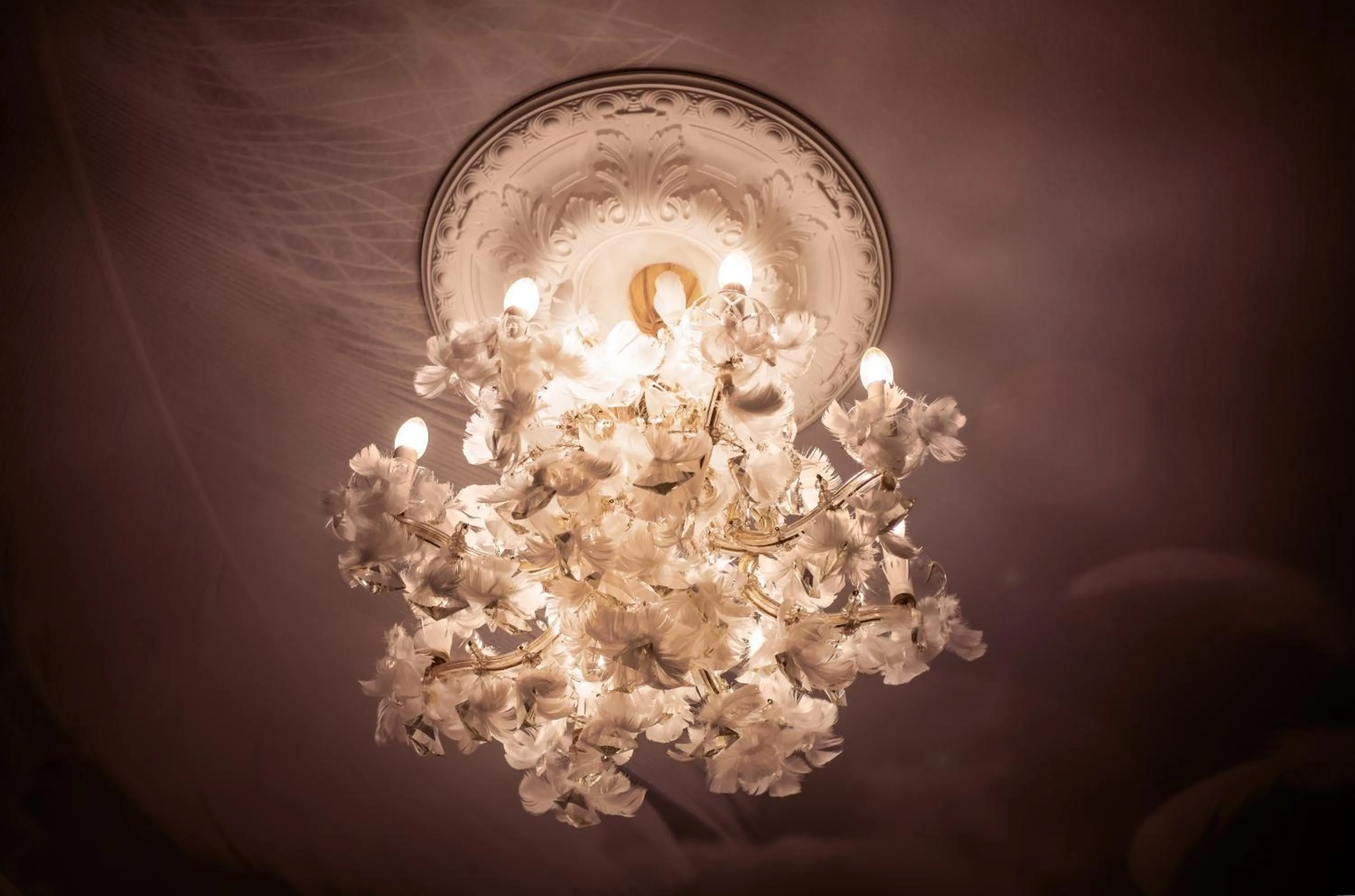 Decorative detail in BoutiqueHOTEL Donauwalzer