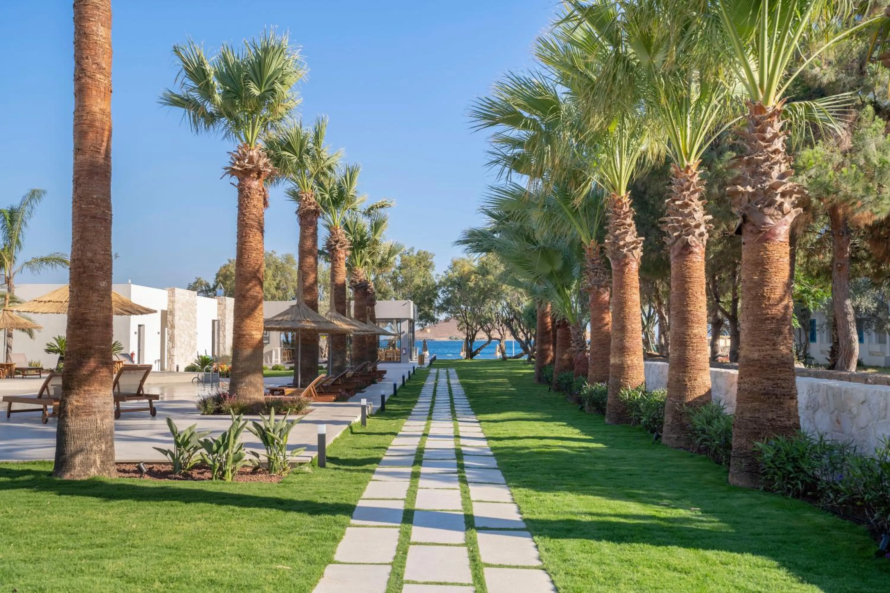Pool view in Regia Mare Beach Hotel & Spa Bodrum