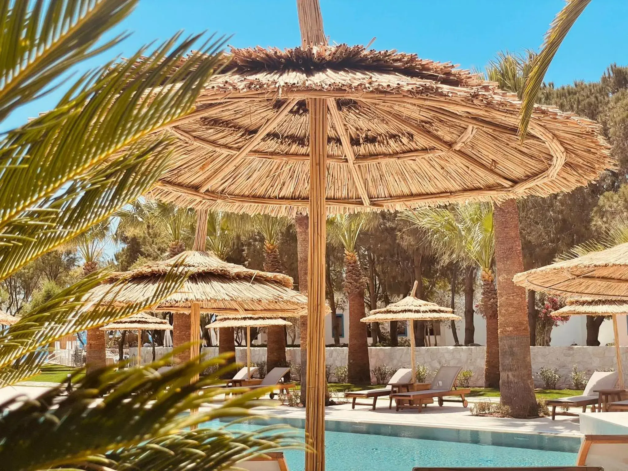 Swimming pool in Regia Mare Beach Hotel & Spa Bodrum Swimming pool in Regia Mare Beach Hotel & Spa Bodrum