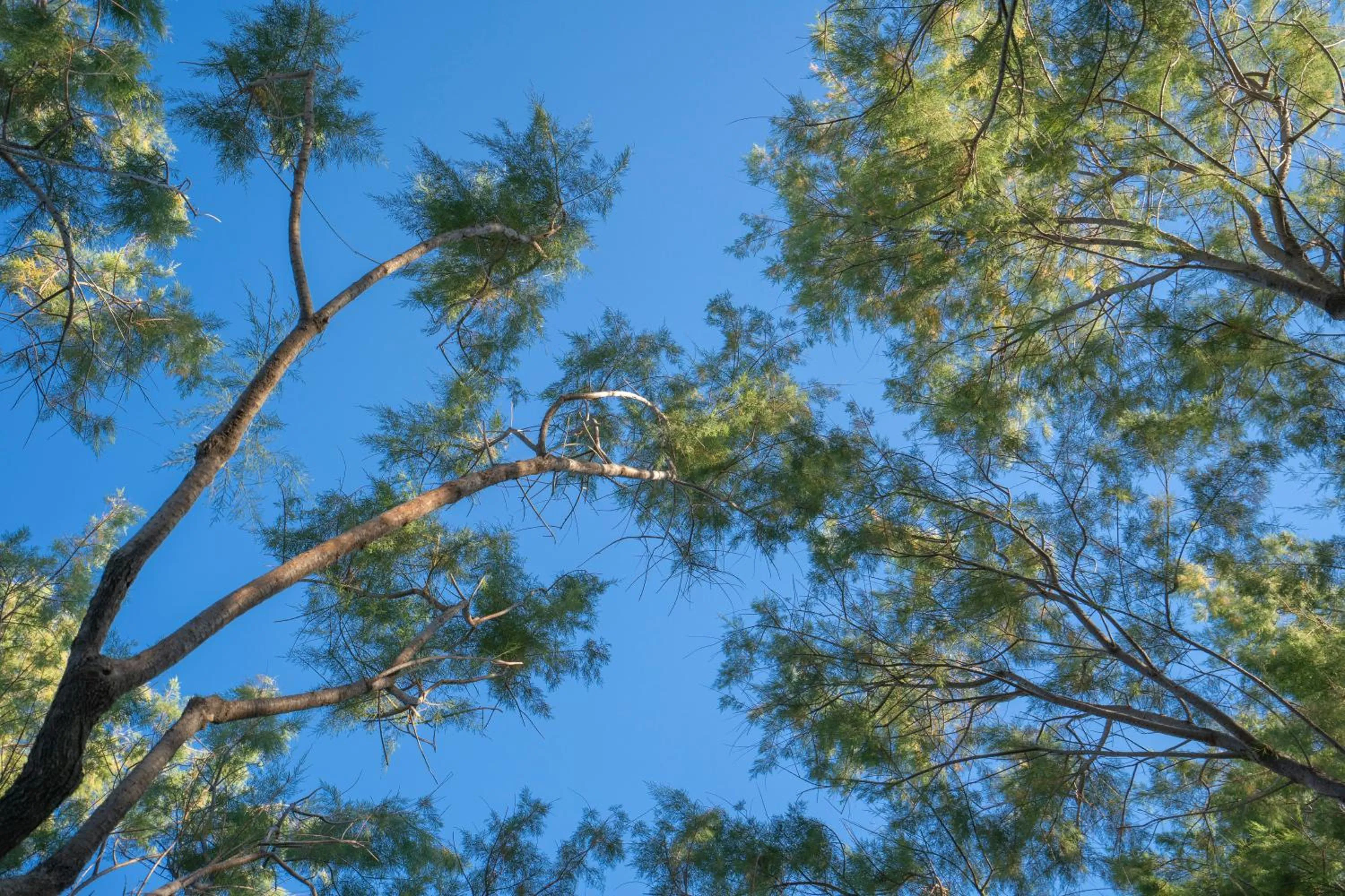 View (from property/room) in Regia Mare Beach Hotel & Spa Bodrum