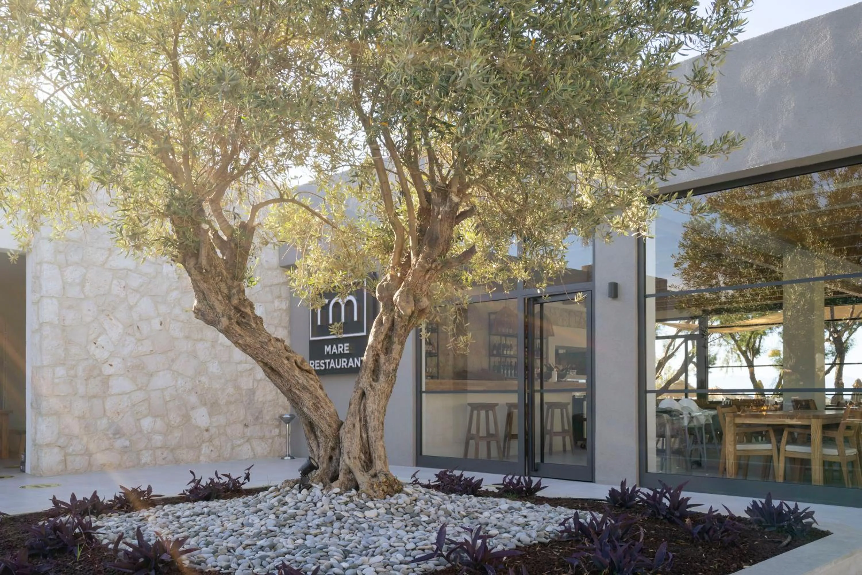 View (from property/room) in Regia Mare Beach Hotel & Spa Bodrum