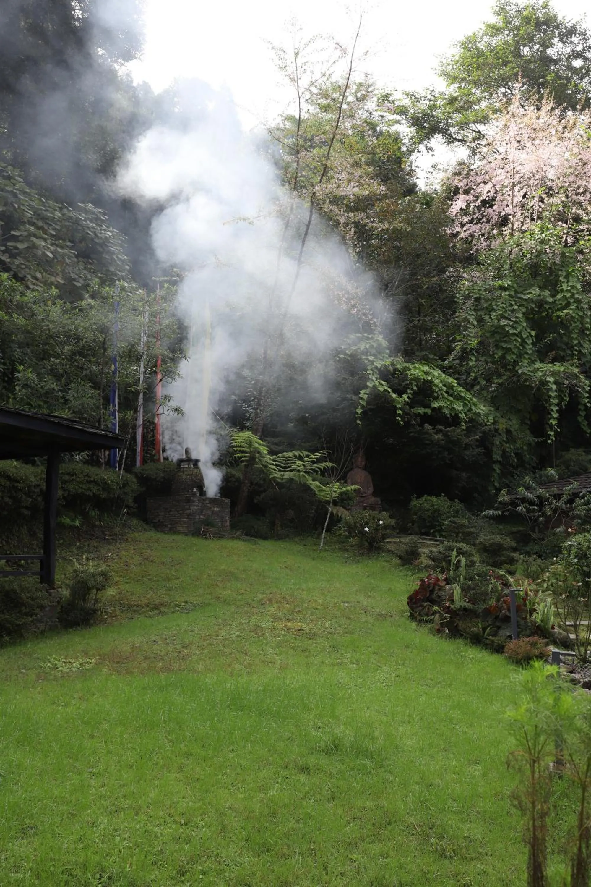 Natural landscape in The Chumbi Mountain Retreat & Spa, A Club Mahindra Associate