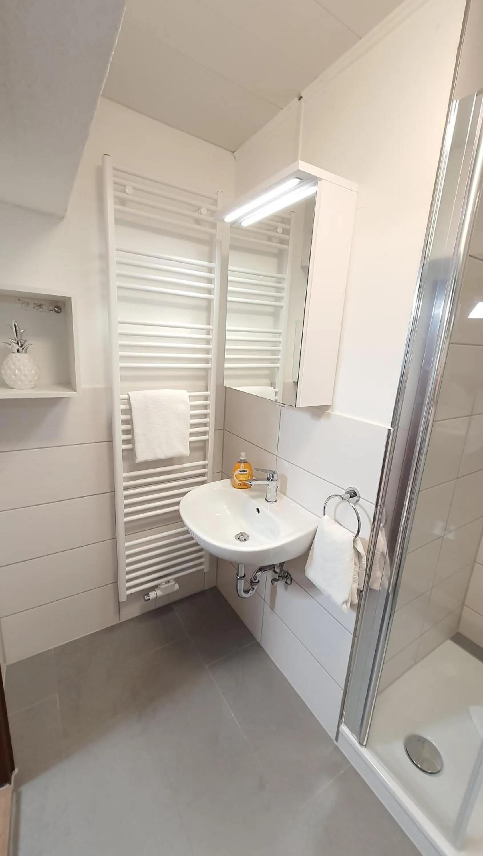 Shower in Hotel Schneiderhof