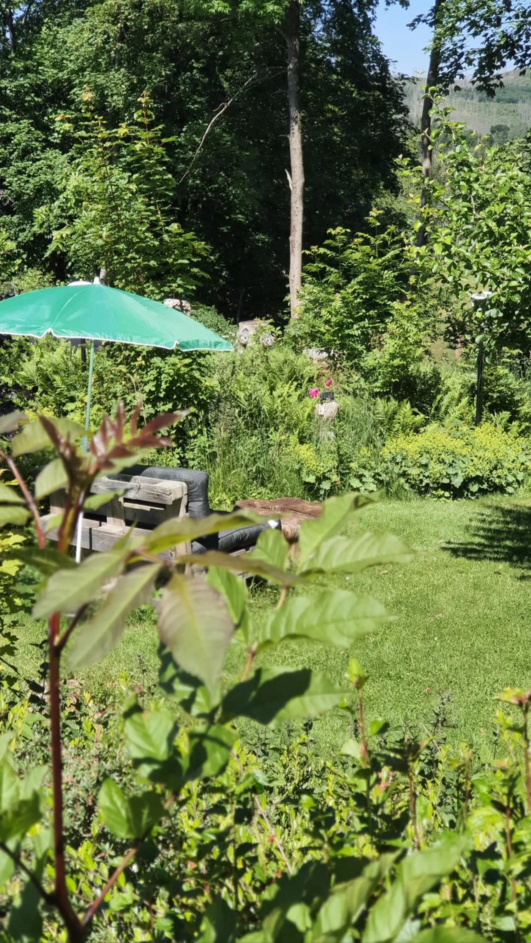 Natural landscape in Hotel Schneiderhof