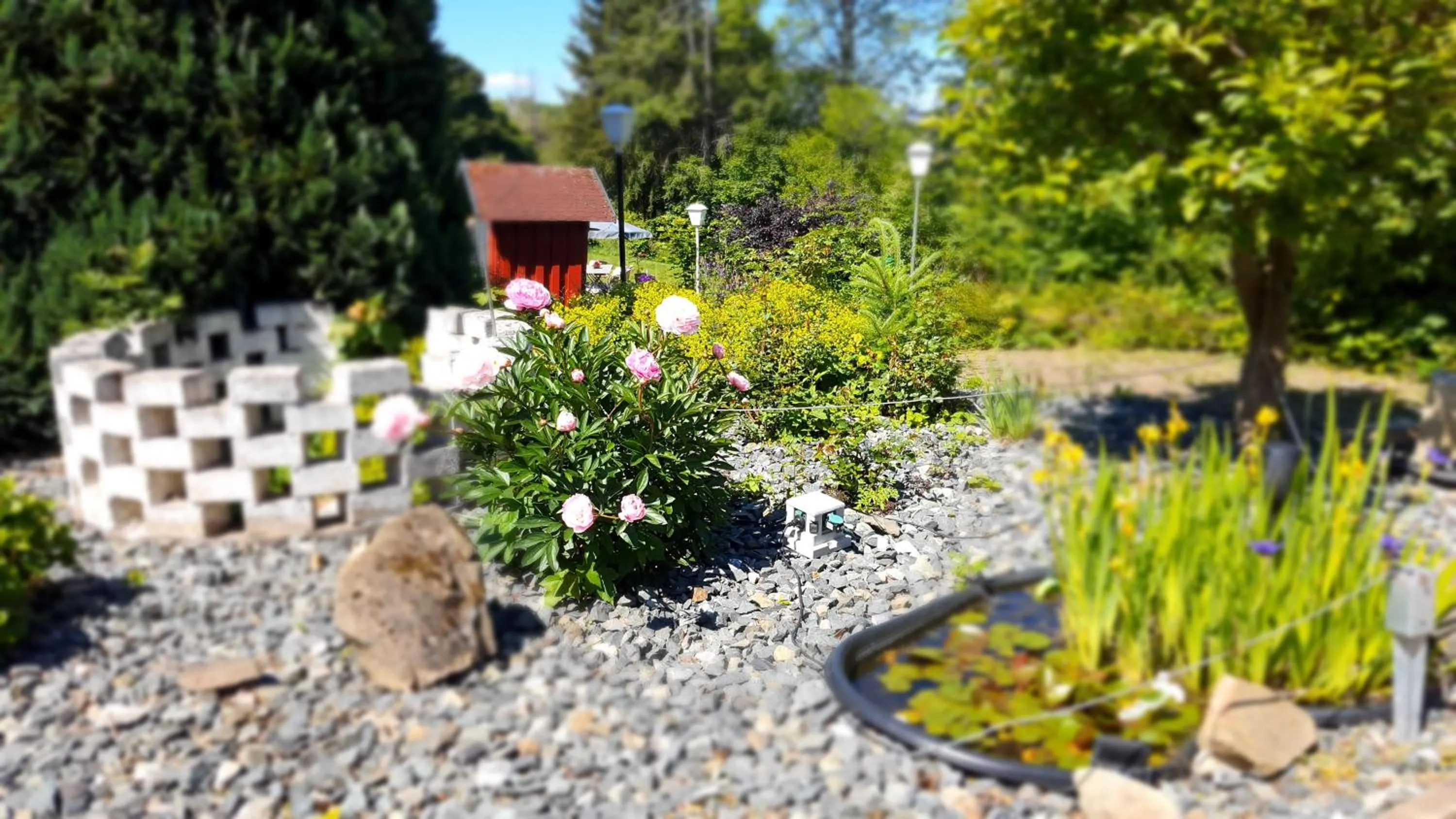 Garden in Hotel Schneiderhof