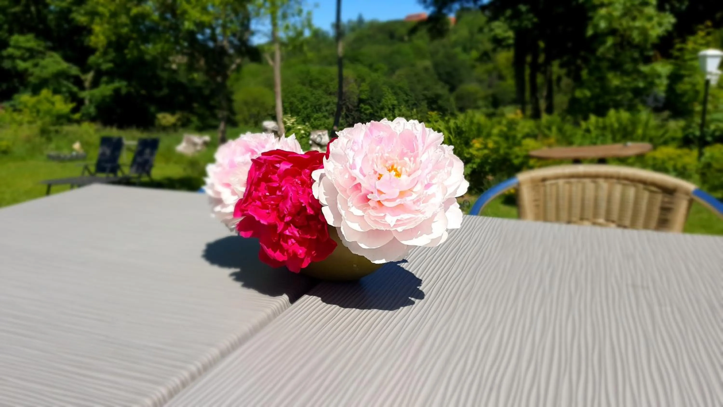 Garden in Hotel Schneiderhof
