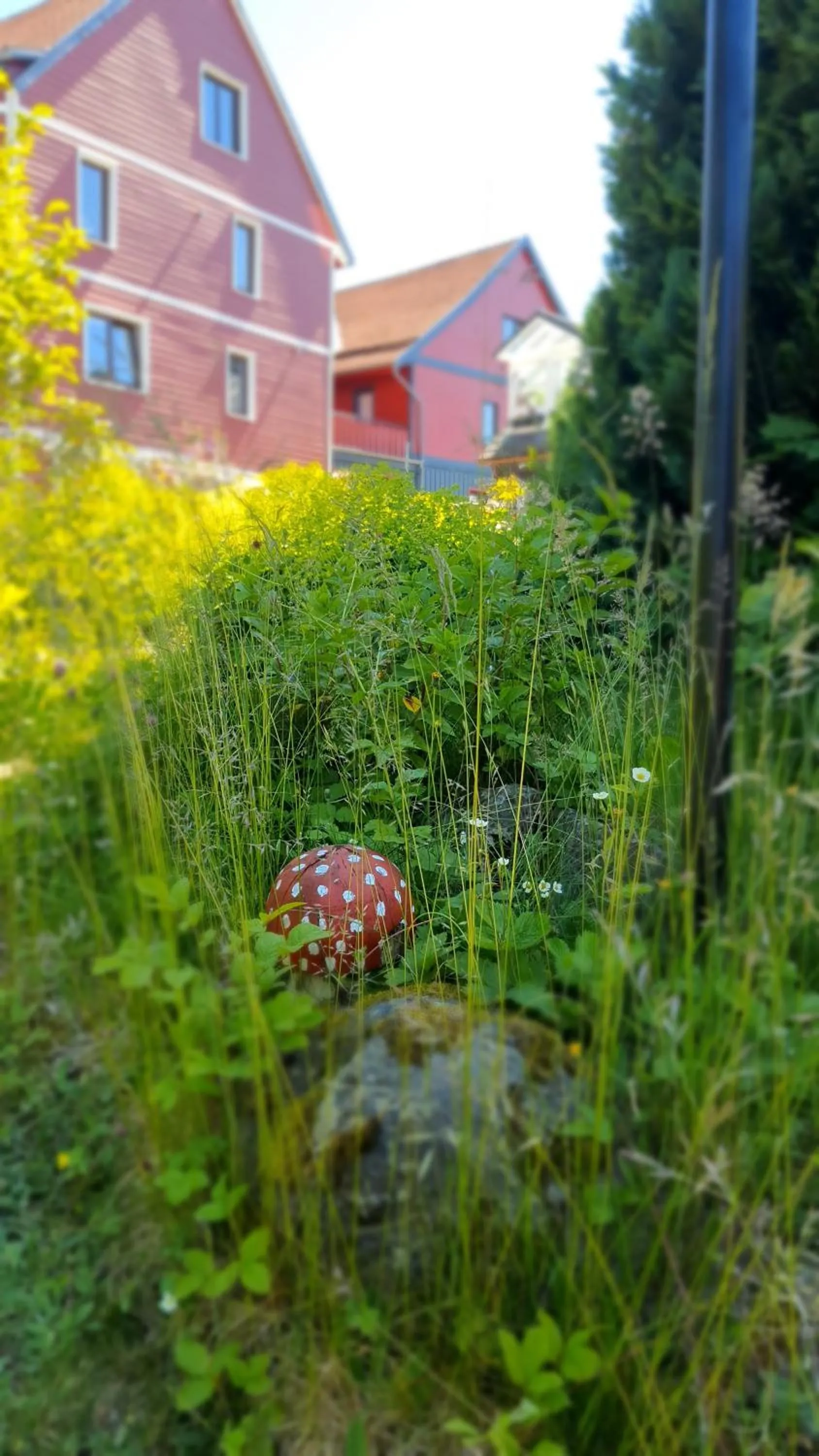 Garden in Hotel Schneiderhof