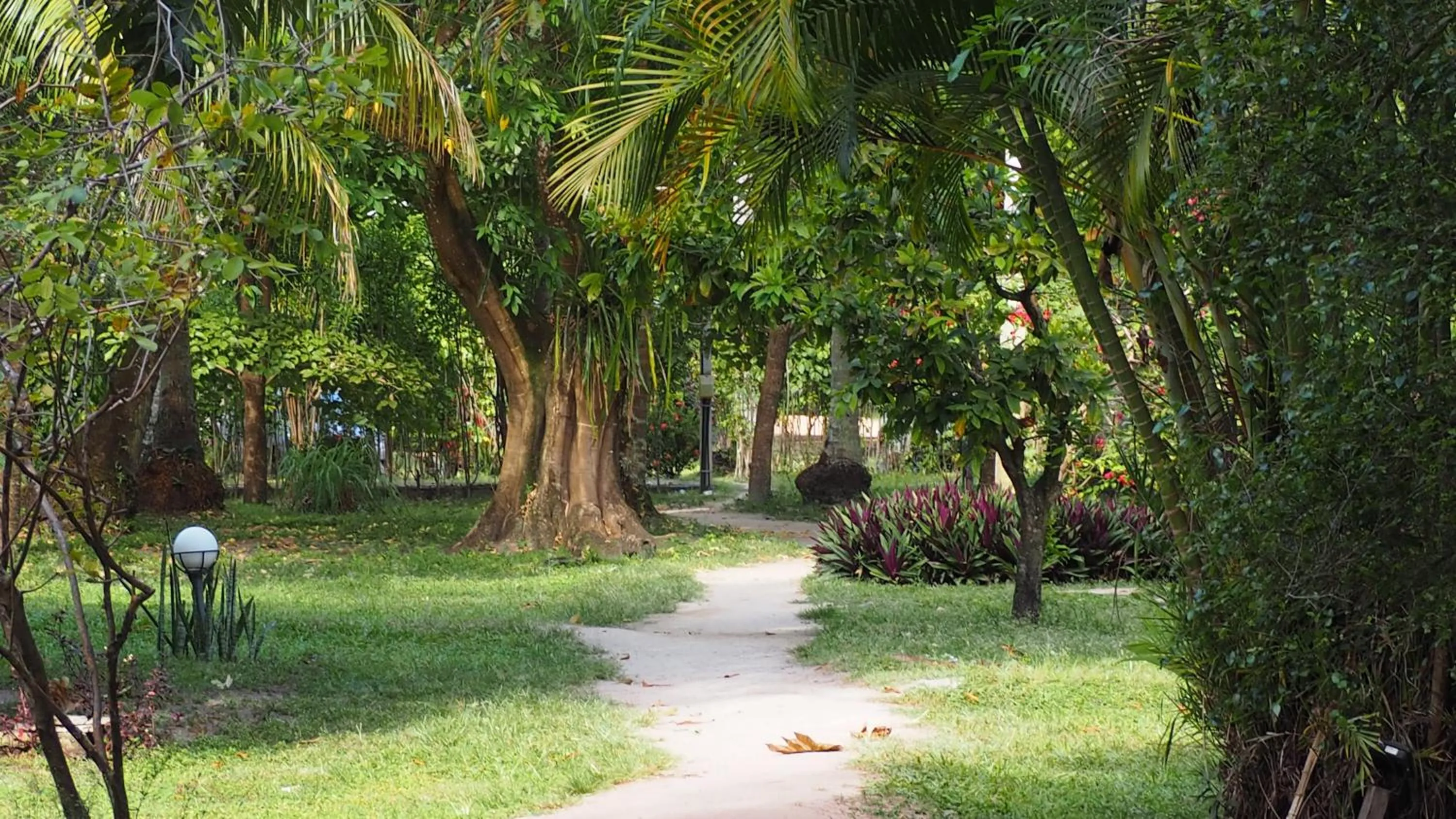 Garden in Bangalôs do Gameleiro