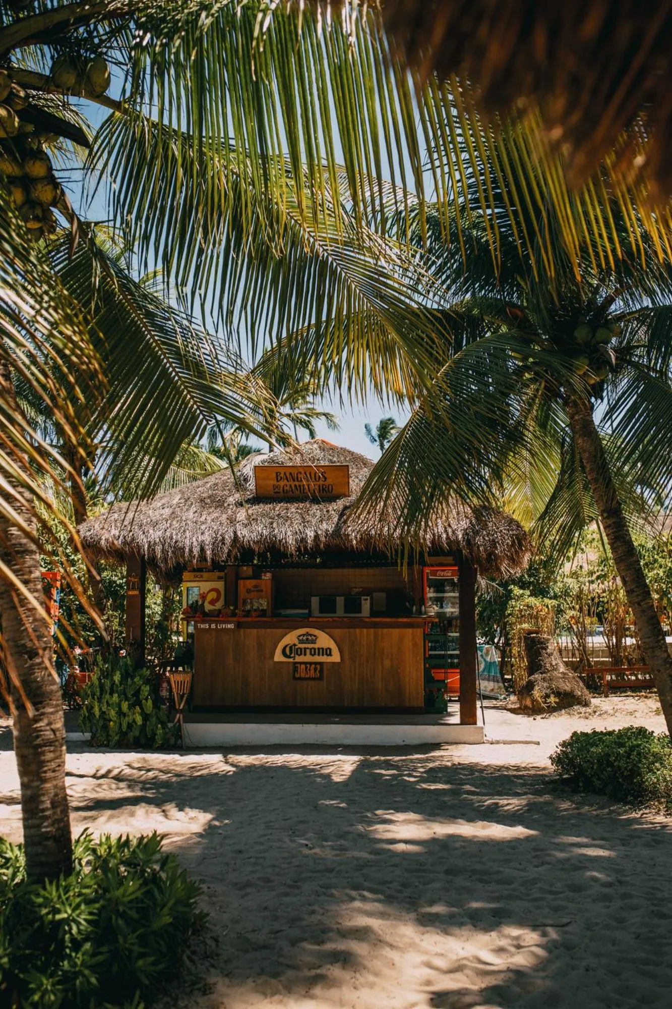 Lounge or bar in Bangalôs do Gameleiro