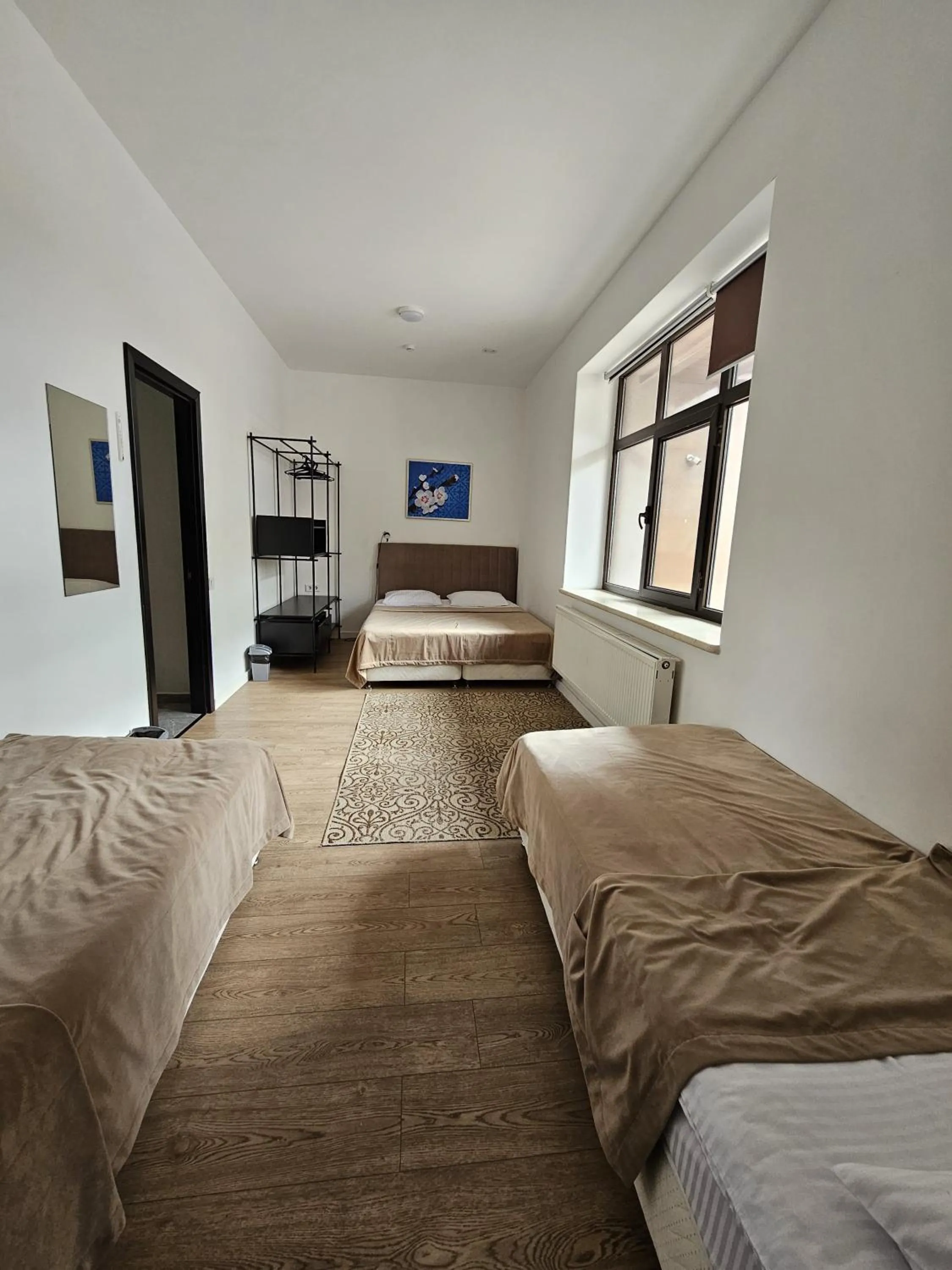 Photo of the whole room, Bed in Sulu Hostel