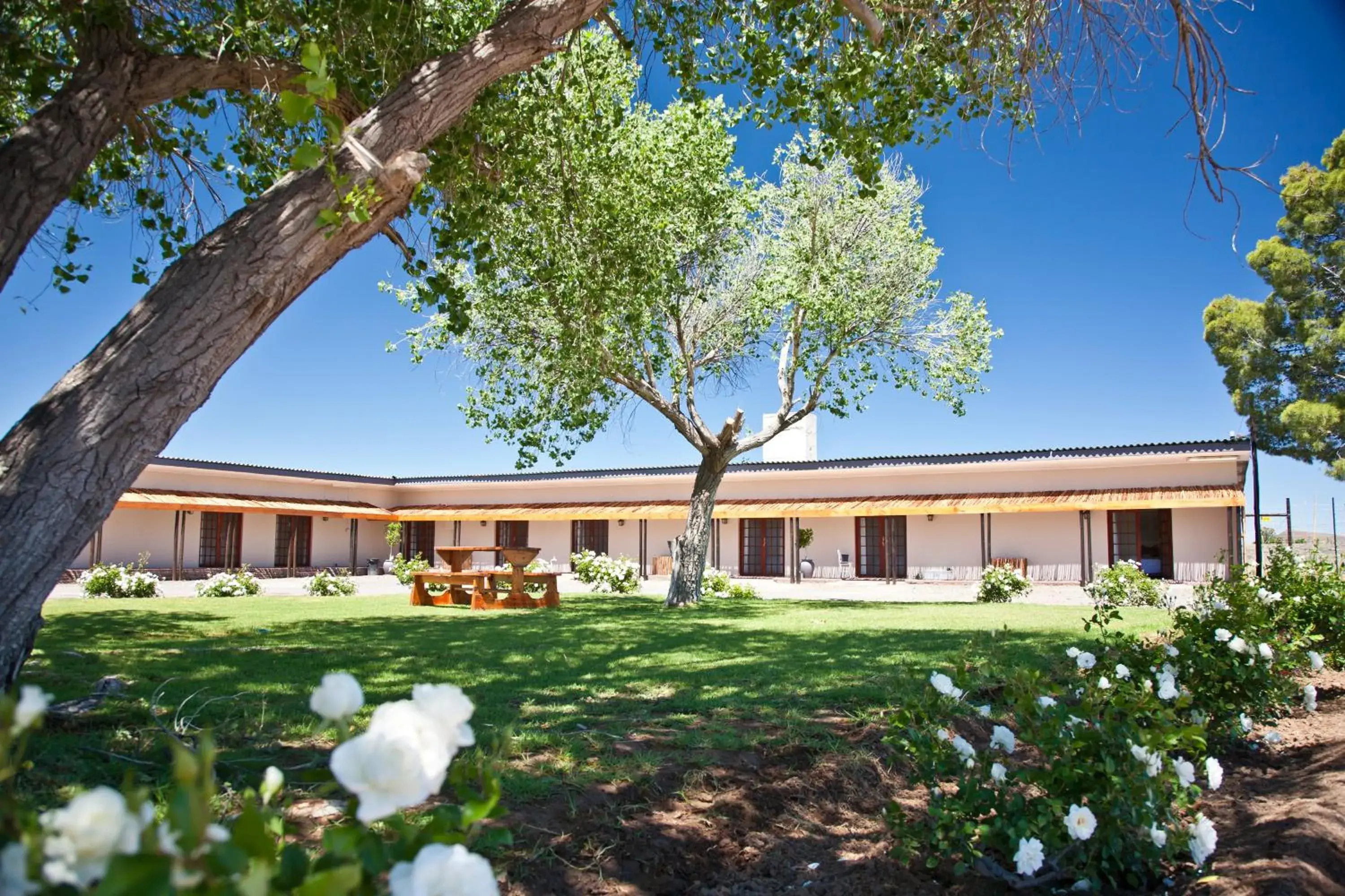 Property building in Wagon Wheel Country Lodge Property building in Wagon Wheel Country Lodge