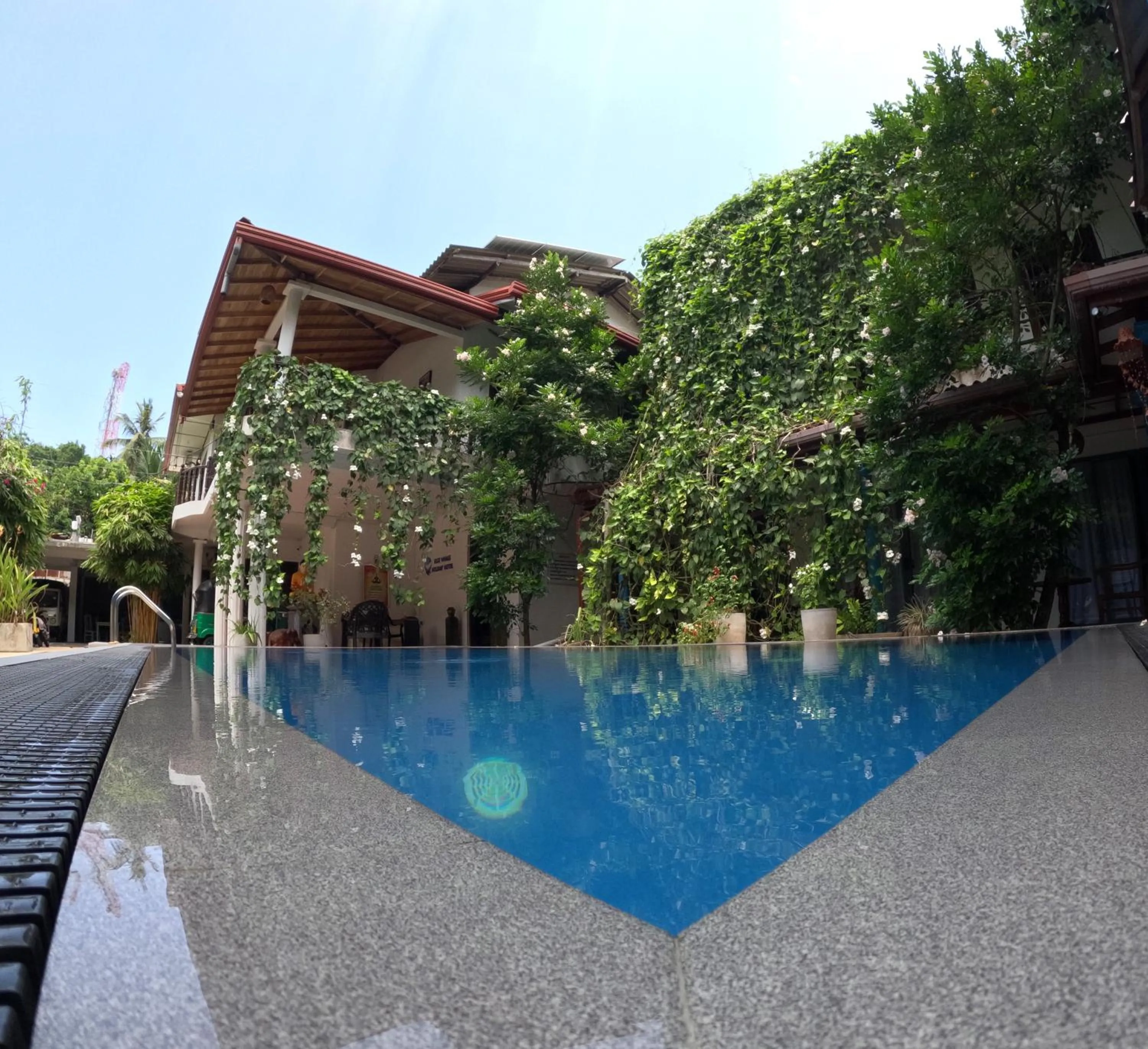 Property building in Mirissa Blue Whale Holiday Hotel