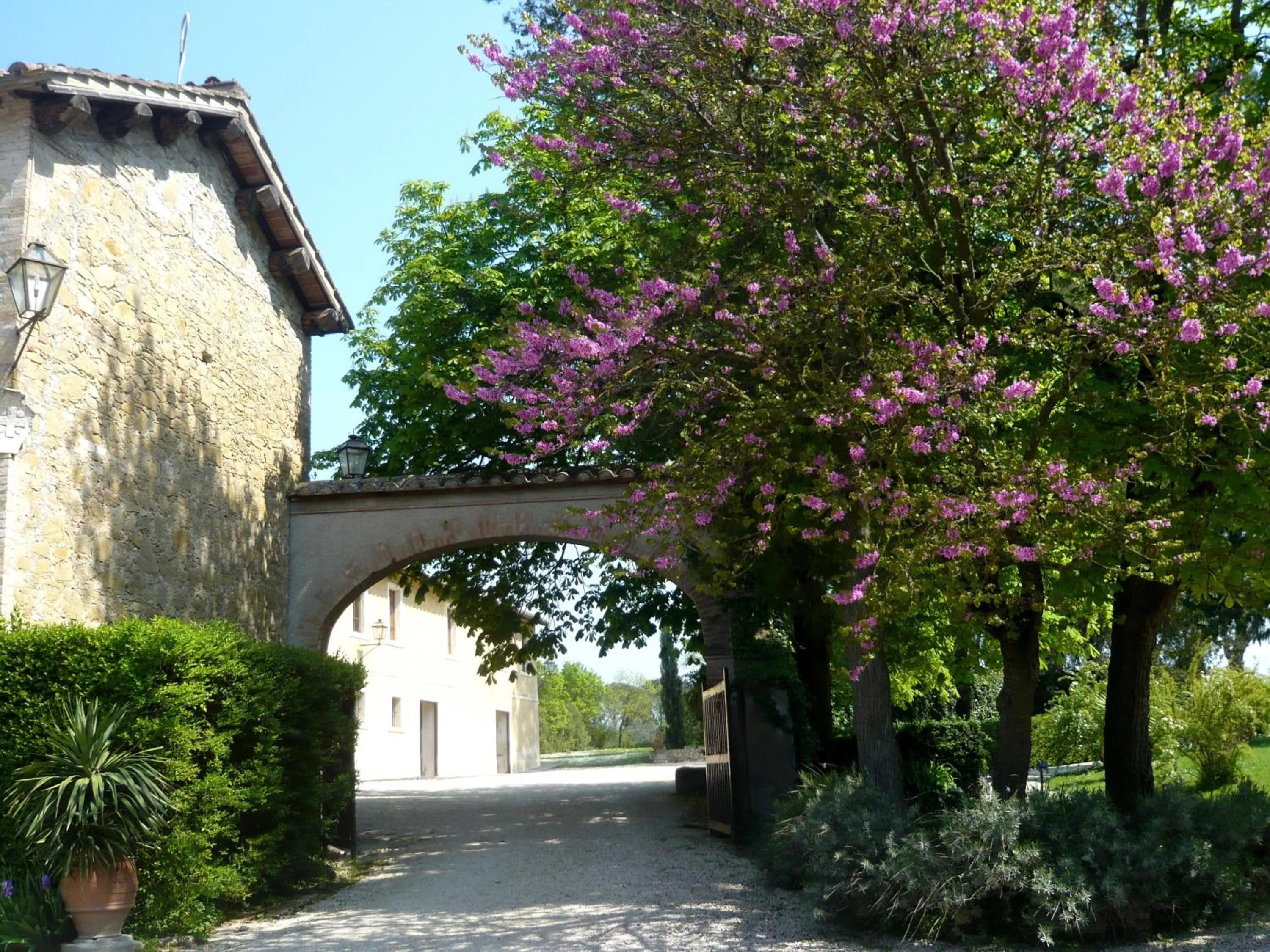 Garden in Palazzo Di Bagnaia
