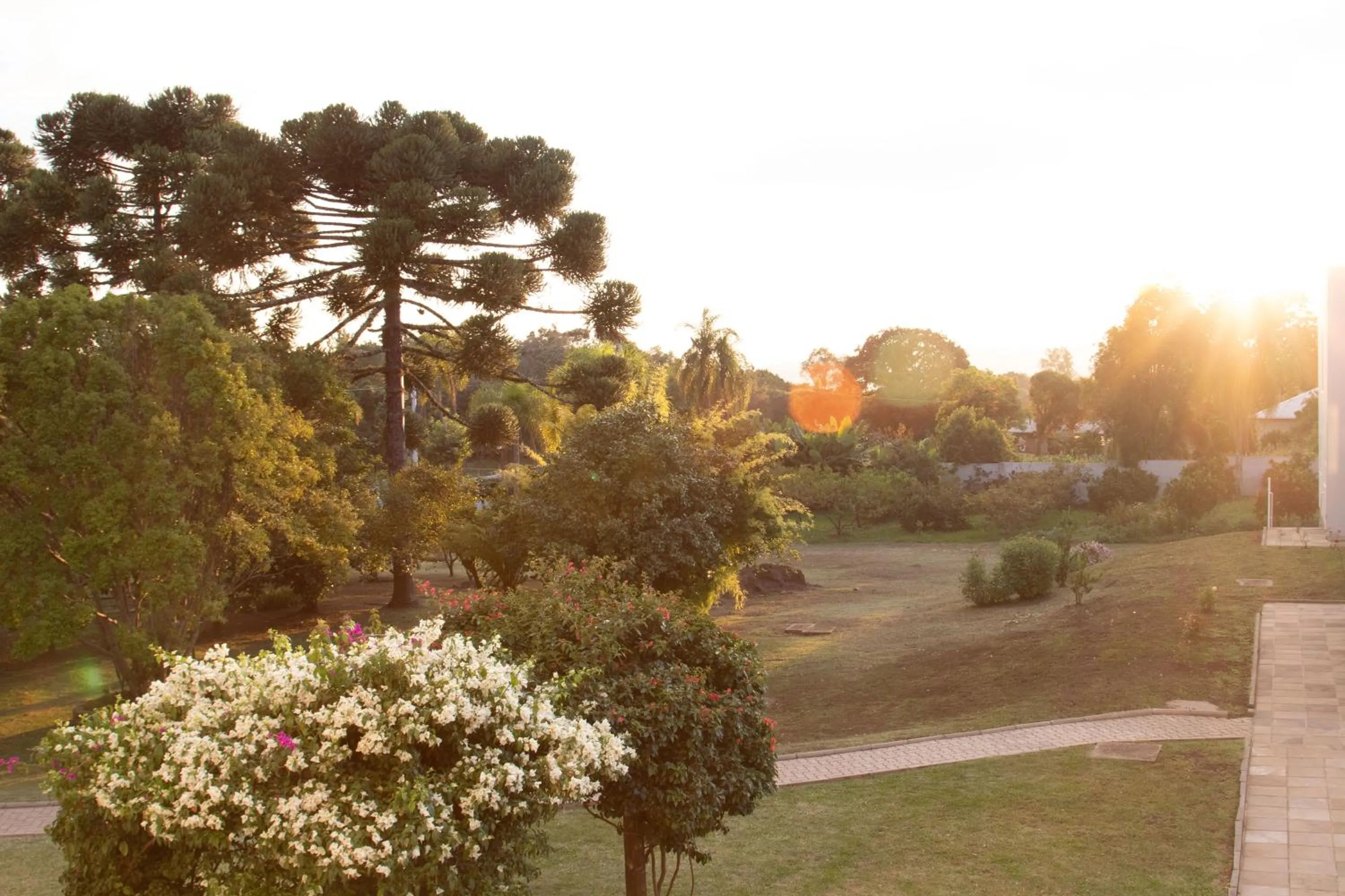 Garden in Pousada Bom Pastor