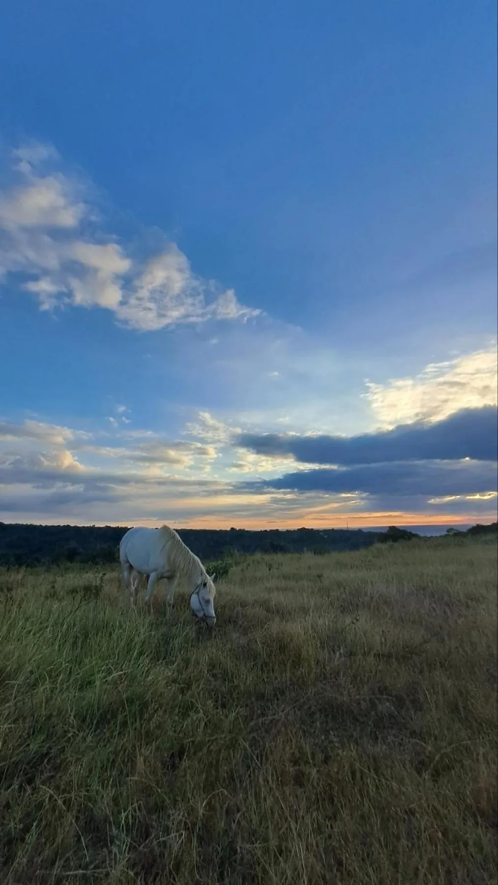 Day in Rancho Bernardo Luxury Villas and Resort
