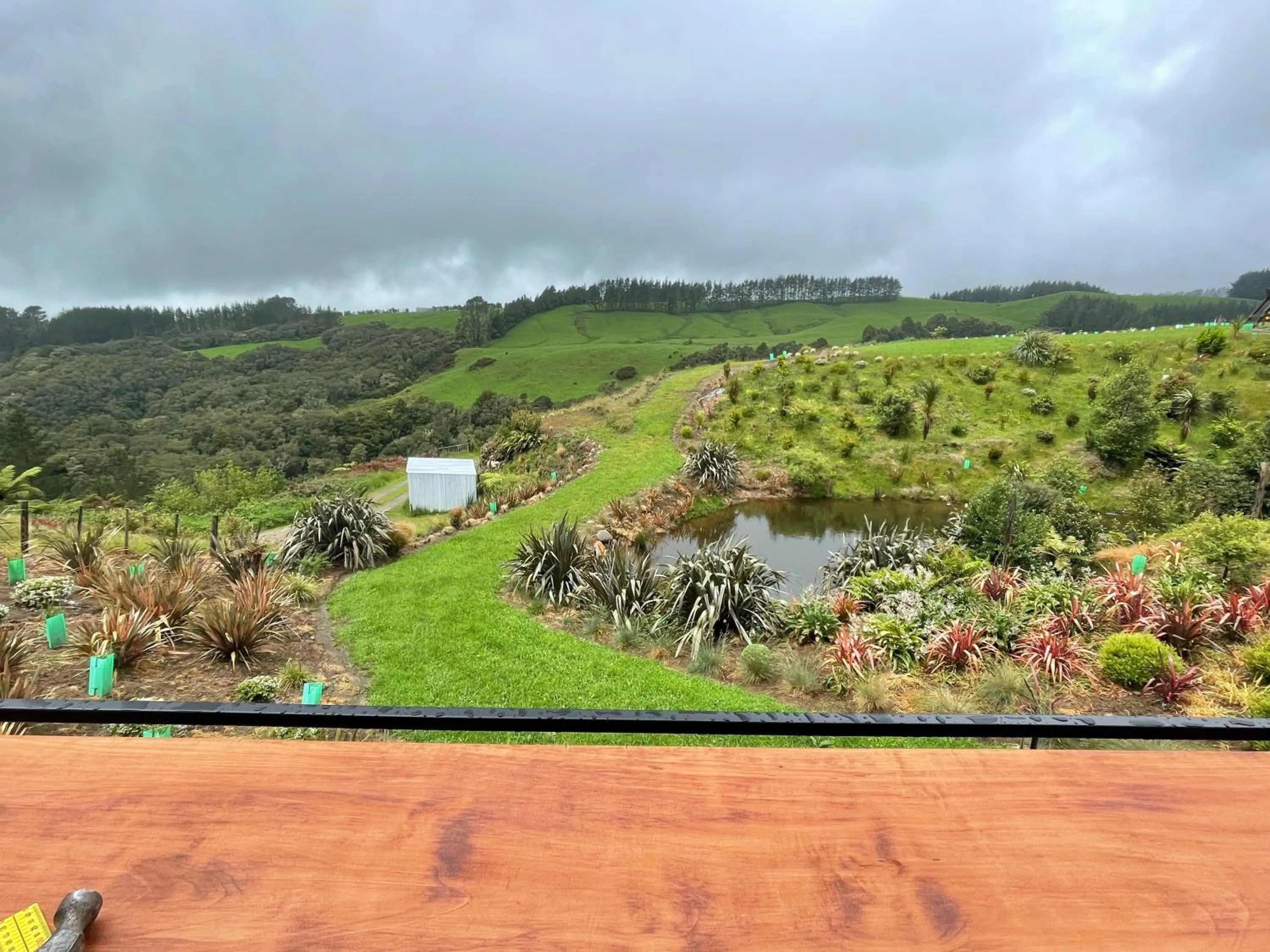Garden in Mangorei Heights - New Plymouth