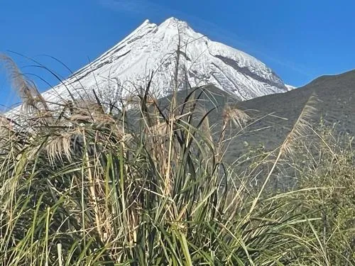Mangorei Heights - New Plymouth