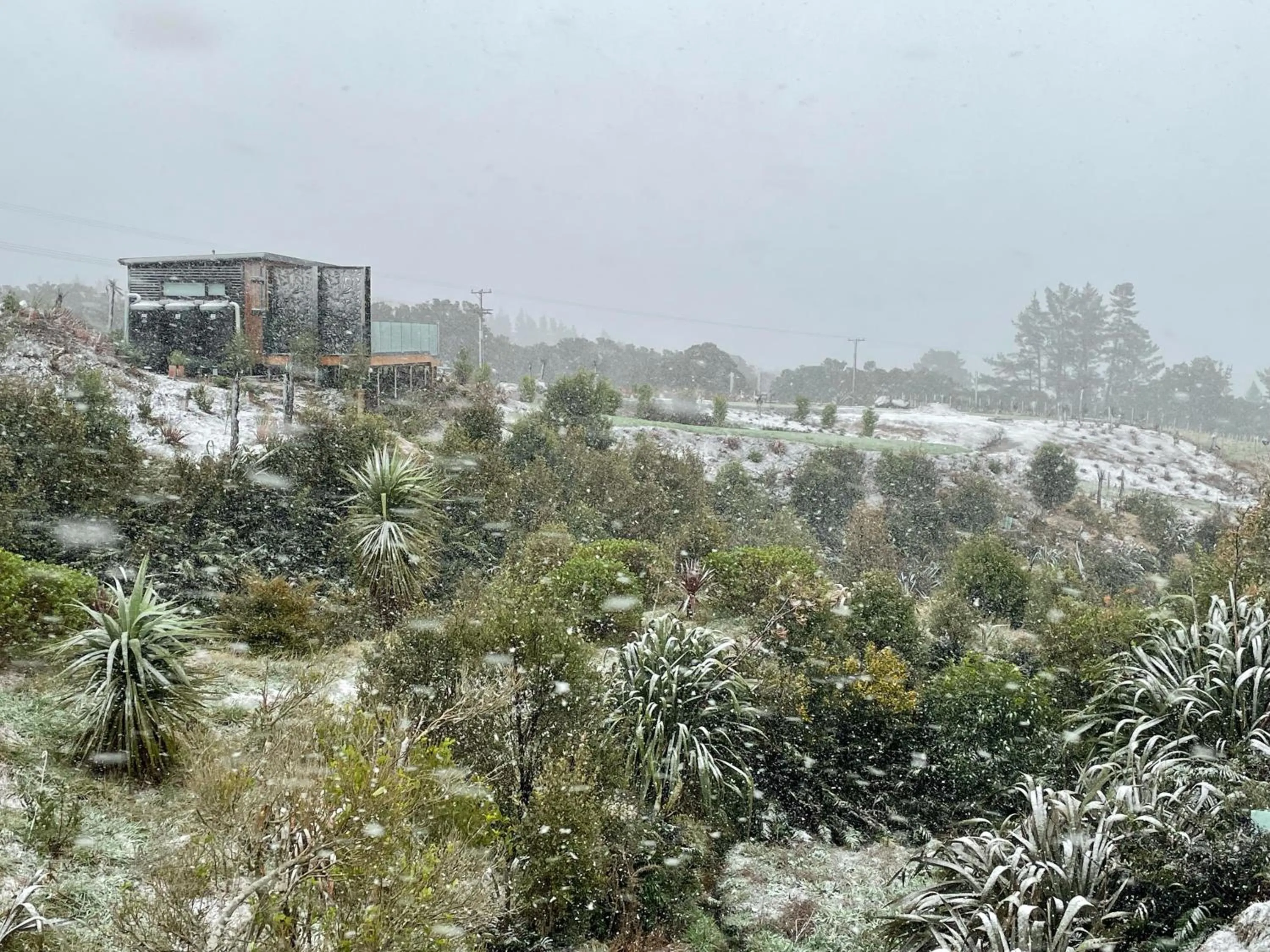 Mangorei Heights - New Plymouth