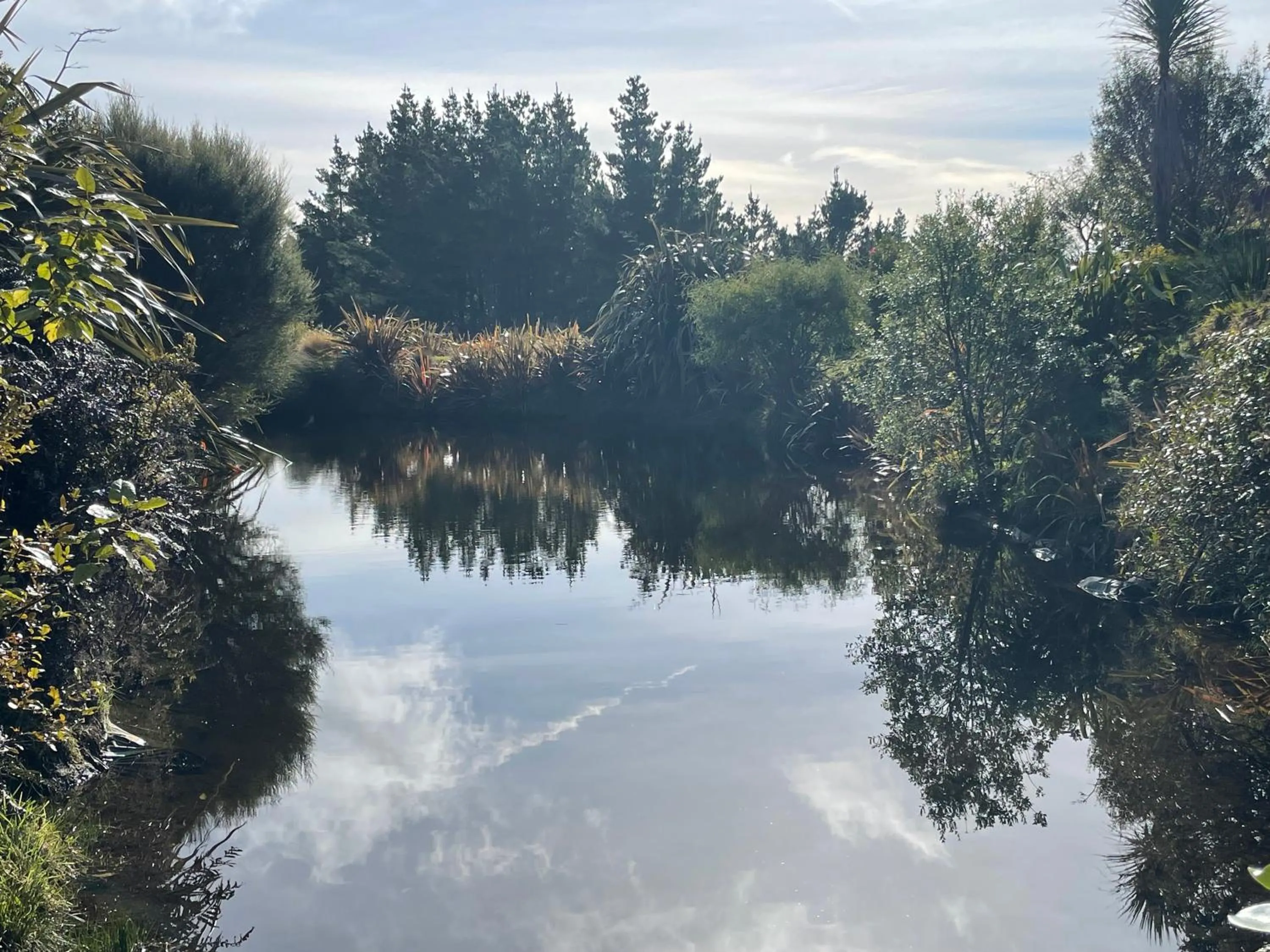 Mangorei Heights - New Plymouth