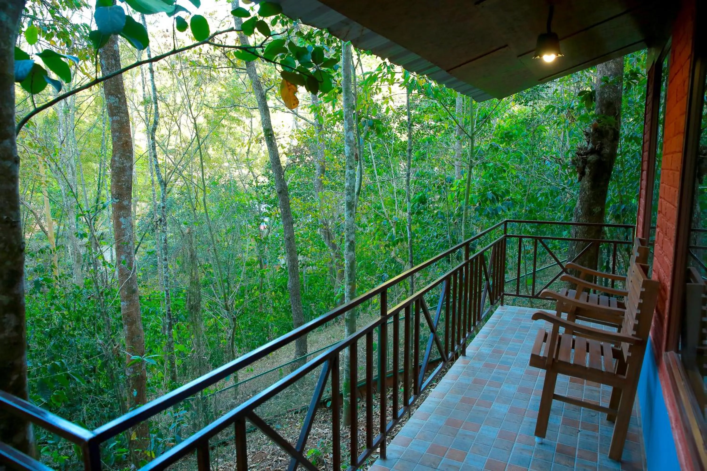 Balcony/Terrace in Snow Hills Nature Resort, Thekkady