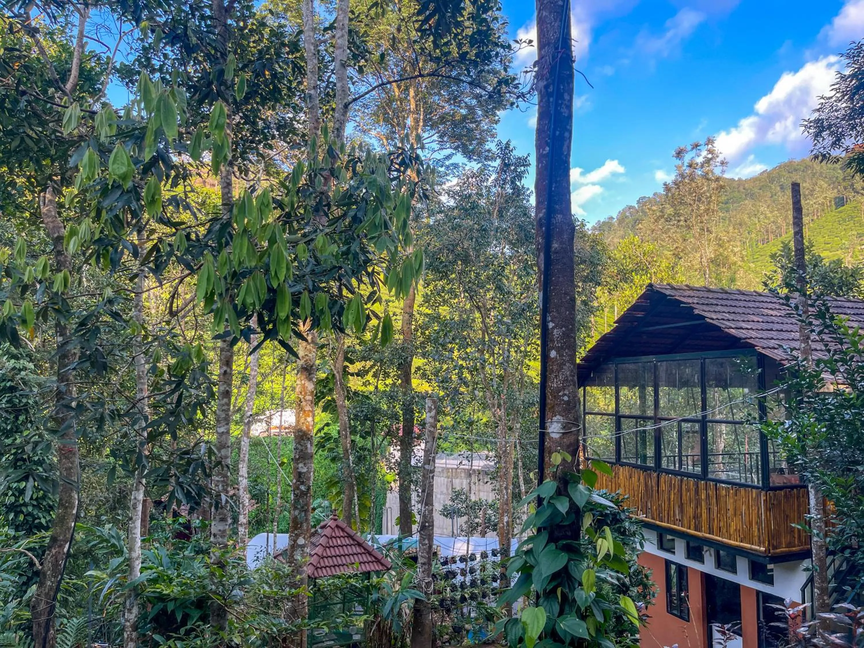 Property building in Snow Hills Nature Resort, Thekkady