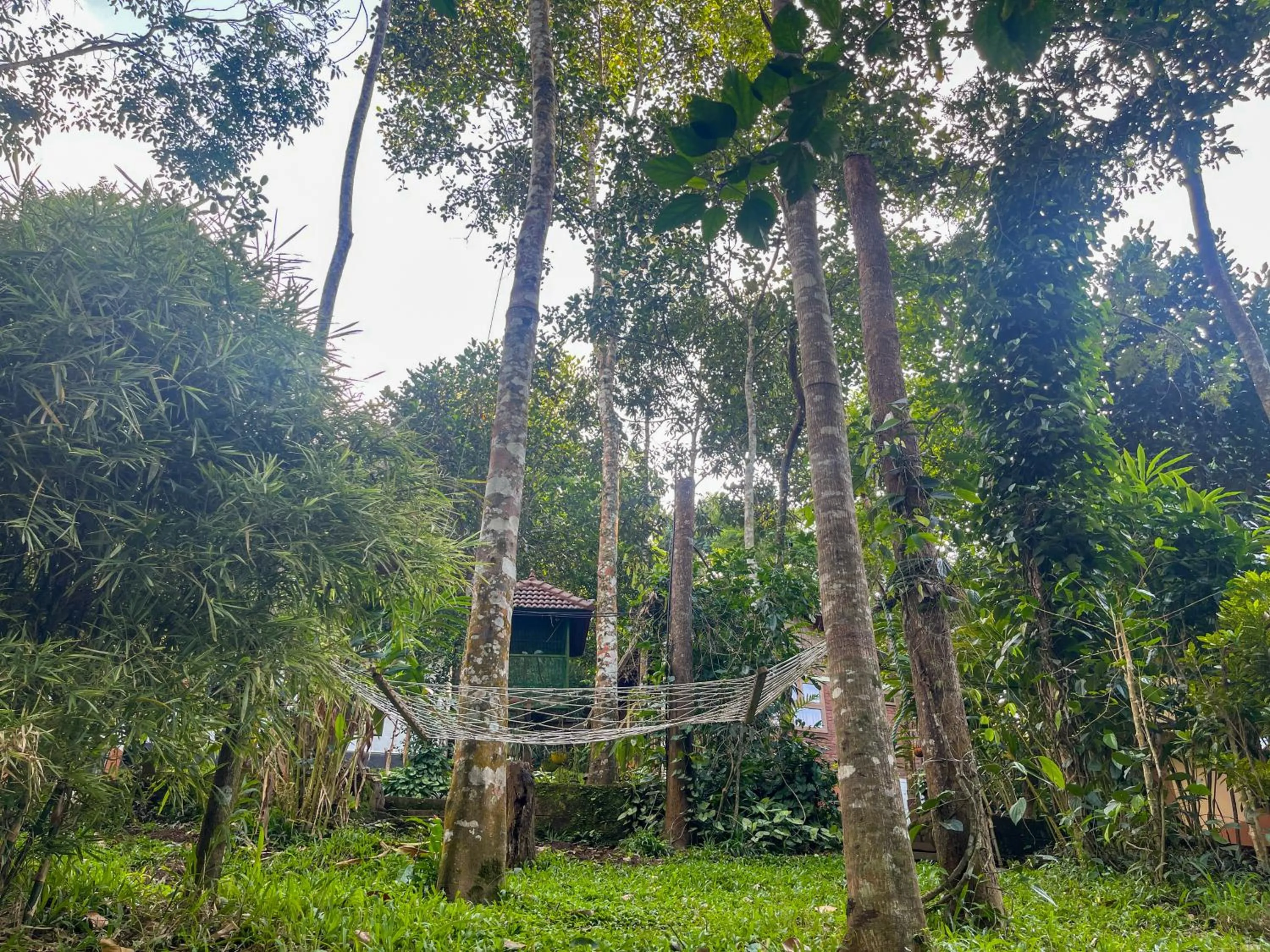 Natural landscape in Snow Hills Nature Resort, Thekkady