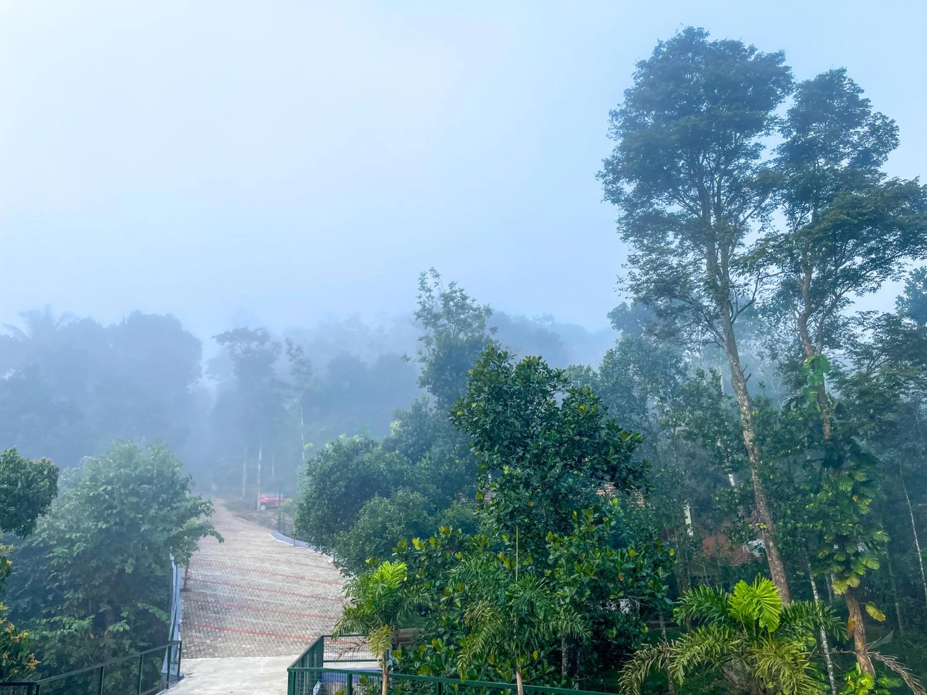Natural landscape in Snow Hills Nature Resort, Thekkady