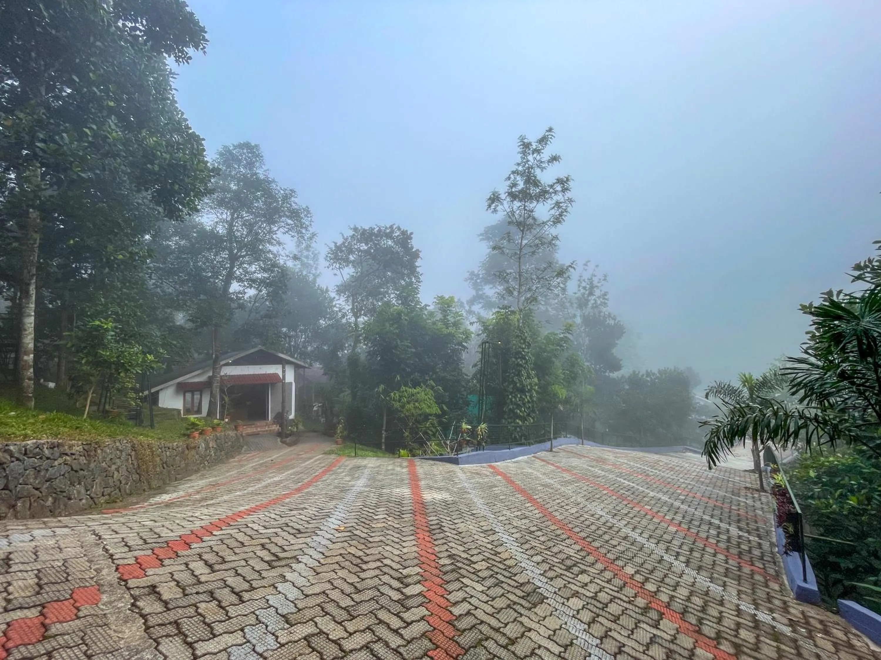 Natural landscape in Snow Hills Nature Resort, Thekkady