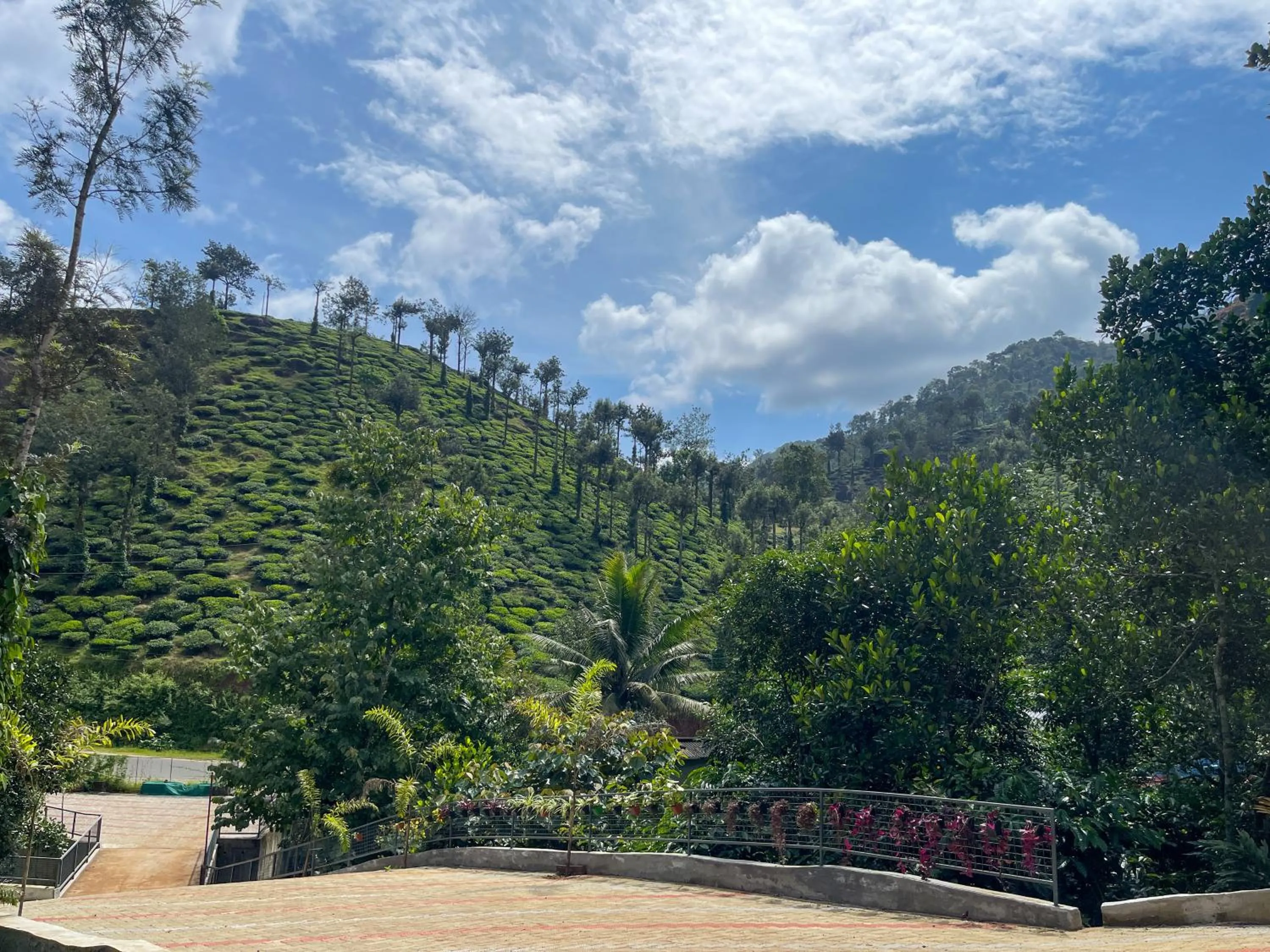 Natural landscape in Snow Hills Nature Resort, Thekkady