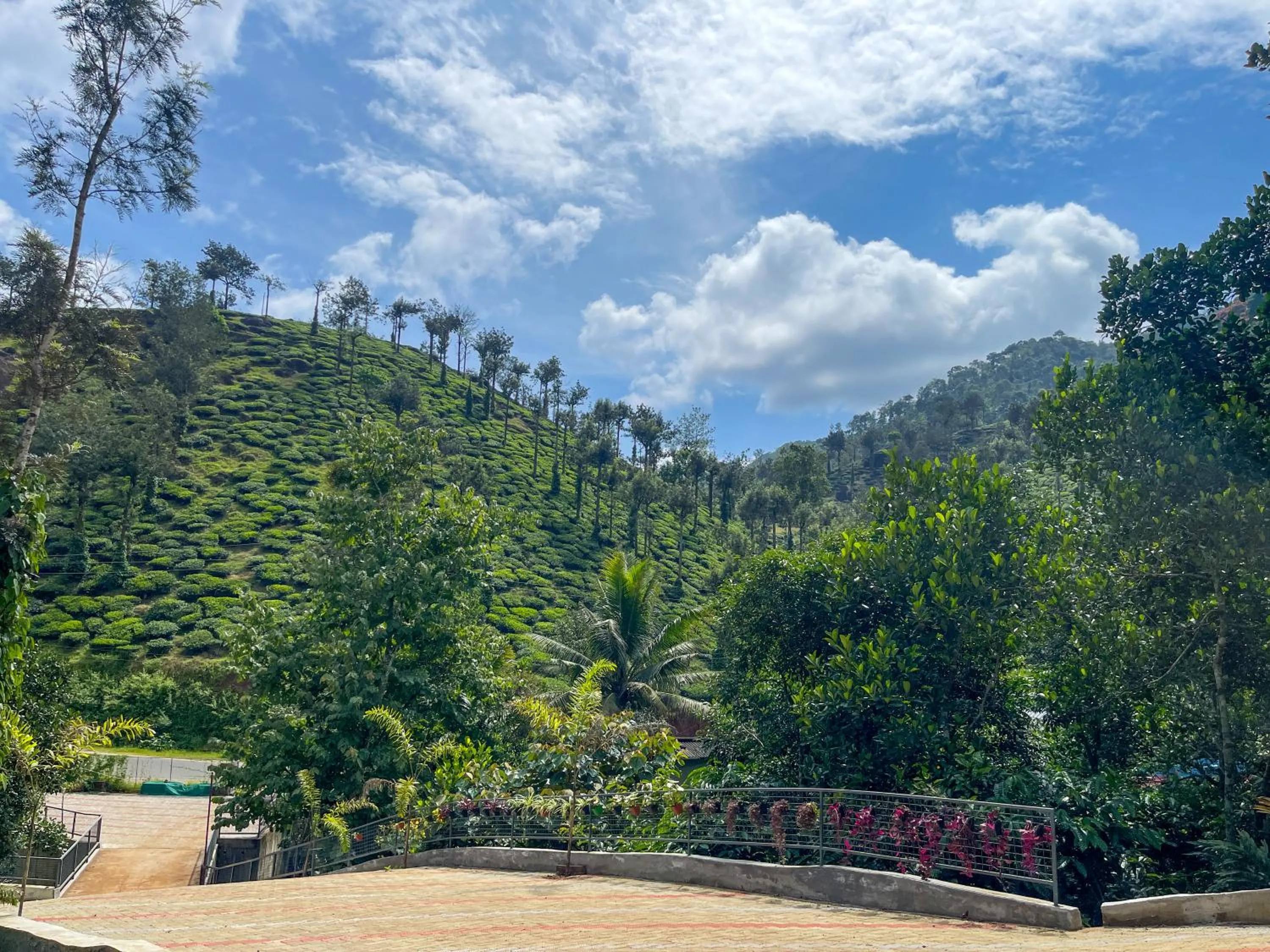 Natural landscape in Snow Hills Nature Resort, Thekkady