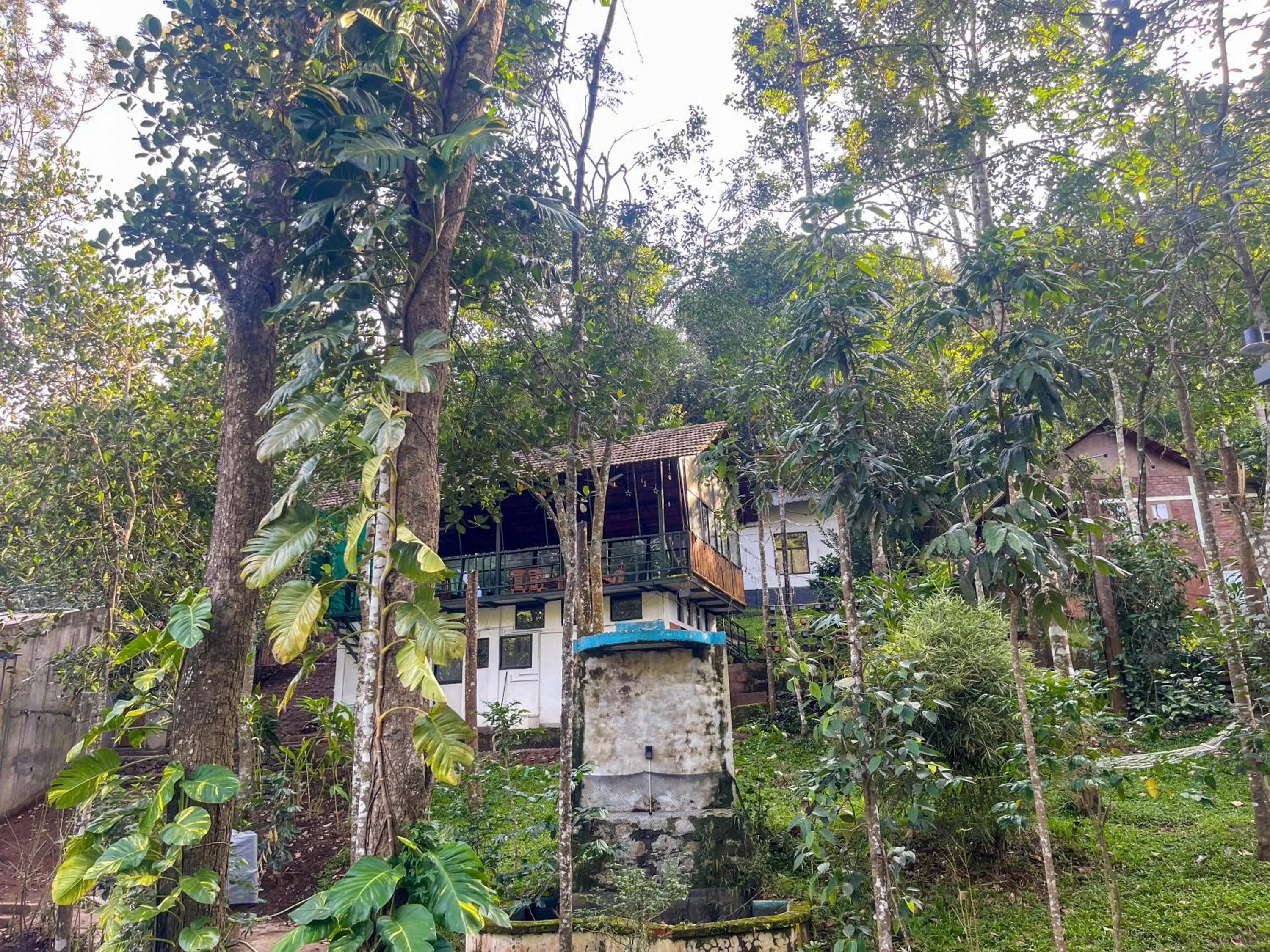 Property building in Snow Hills Nature Resort, Thekkady