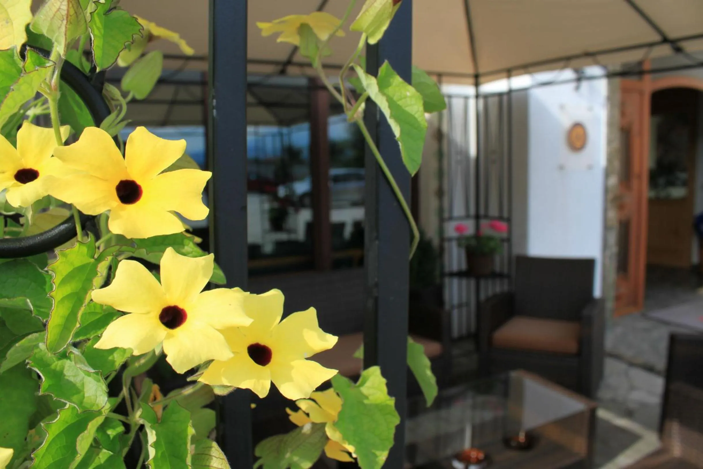 Other in Airporthotel Salzburg - Hotel am Salzburg Airport