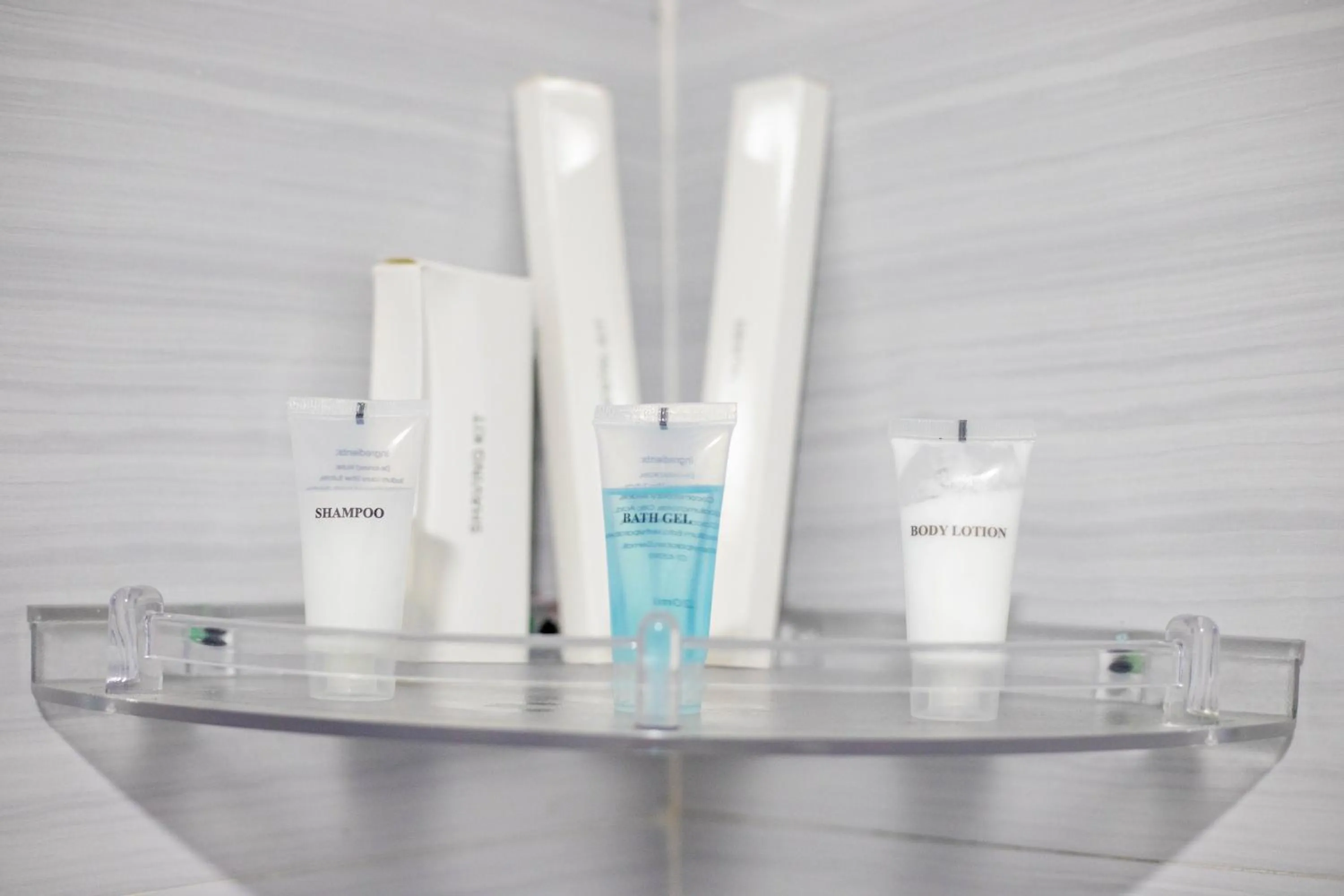 Area and facilities in Siddhartha Hotel Grand City