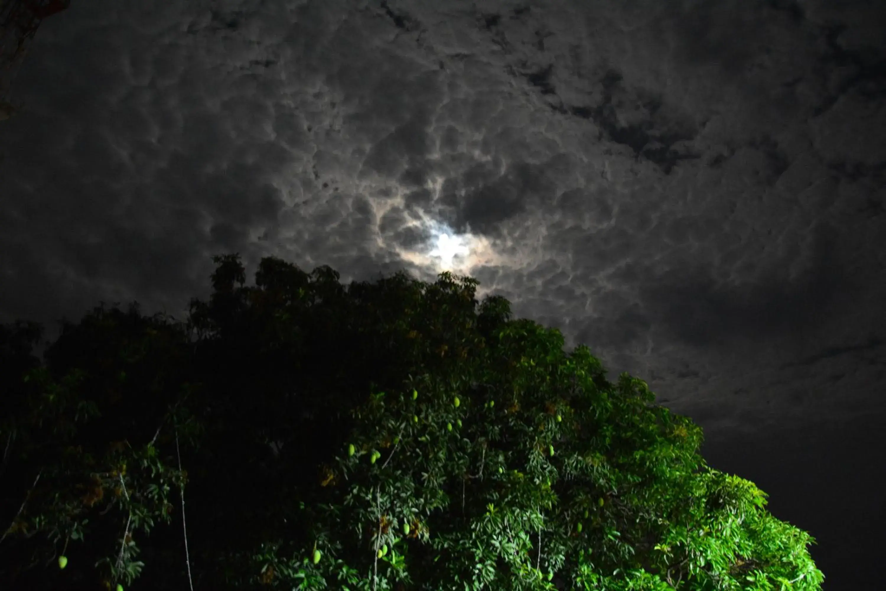 View (from property/room) in Best Western Swing High Katra View (from property/room) in Best Western Swing High Katra