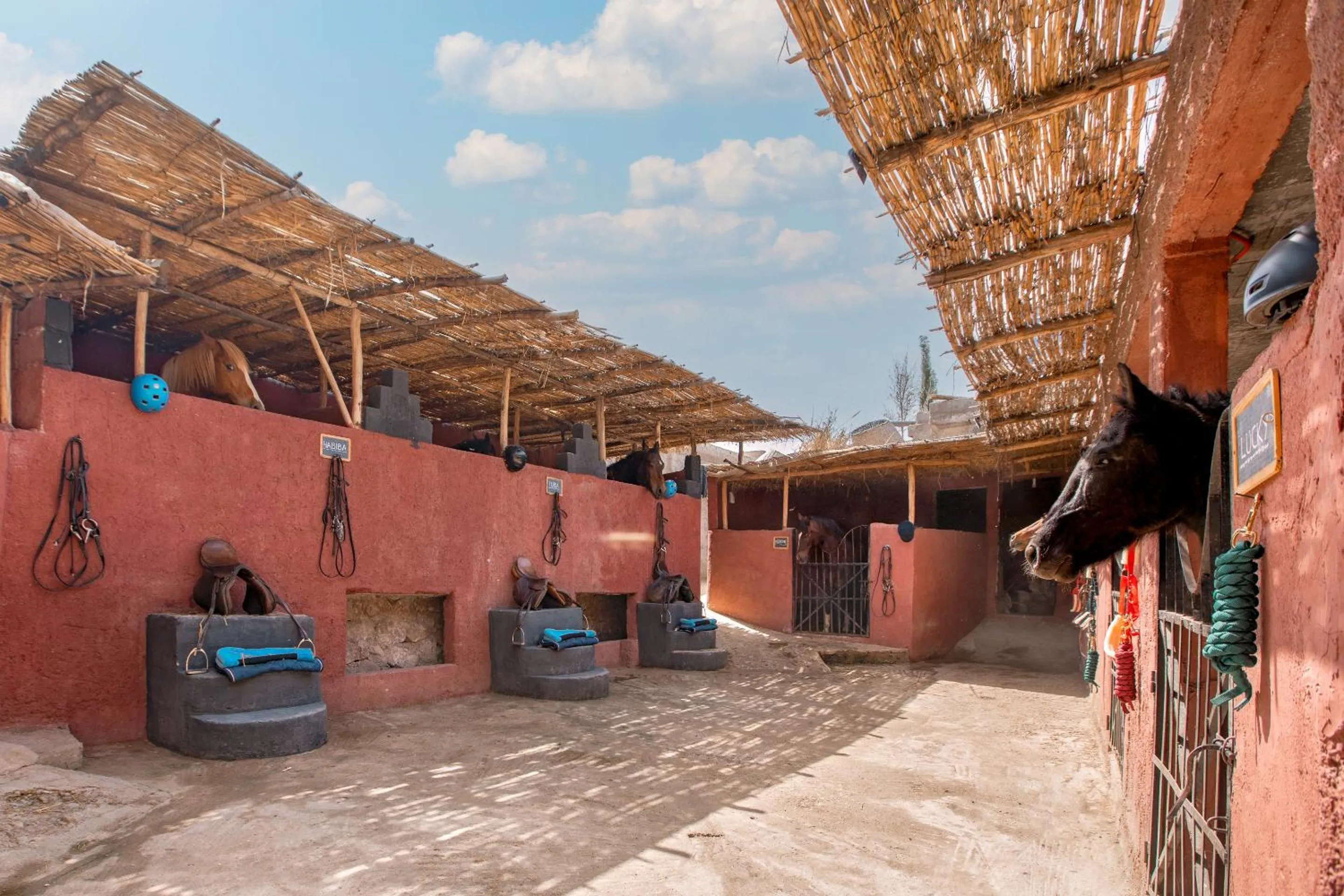 Activities in La Fattoria Ecolodge