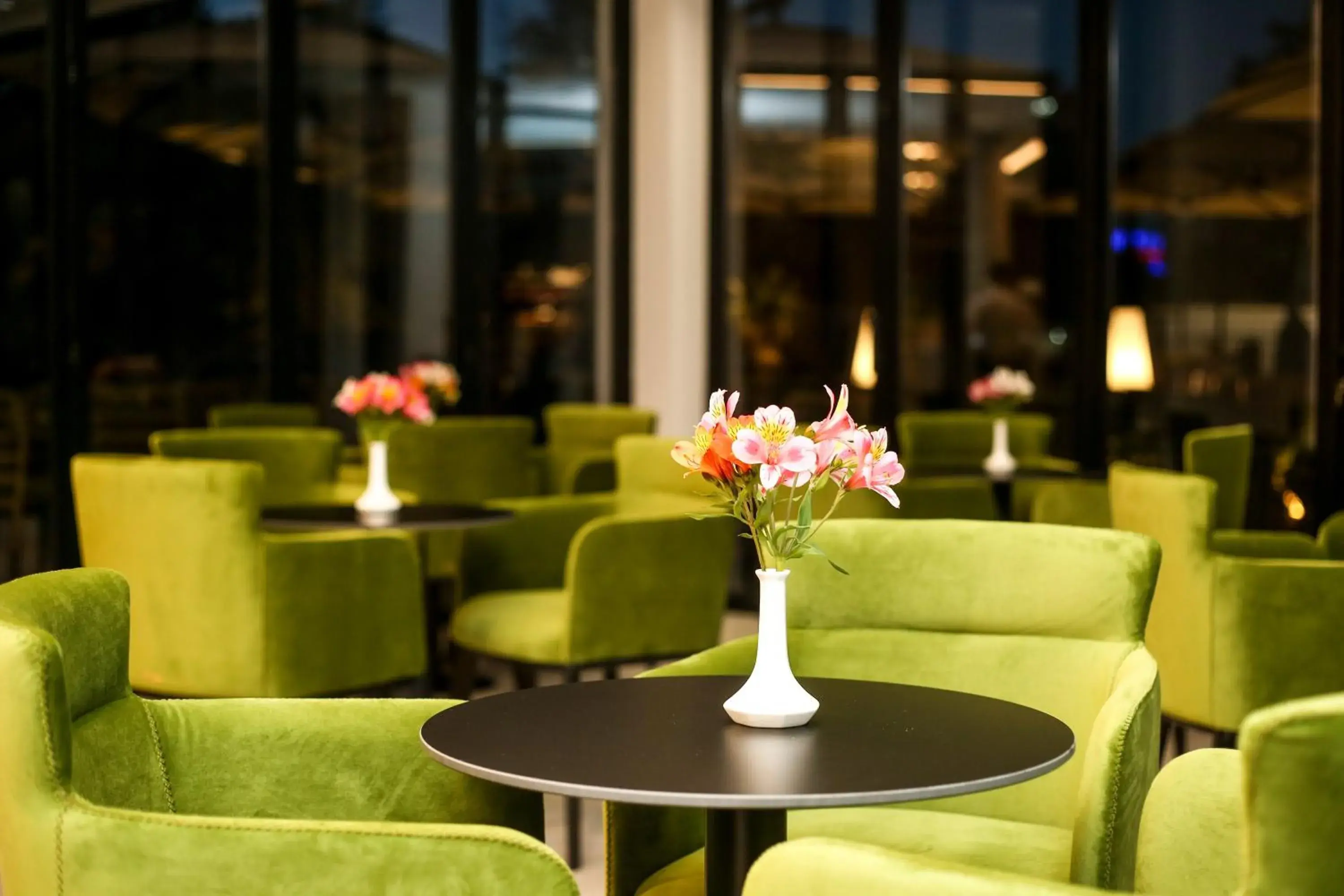 Lounge or bar in Regina Garden Vlore Lounge or bar in Regina Garden Vlore