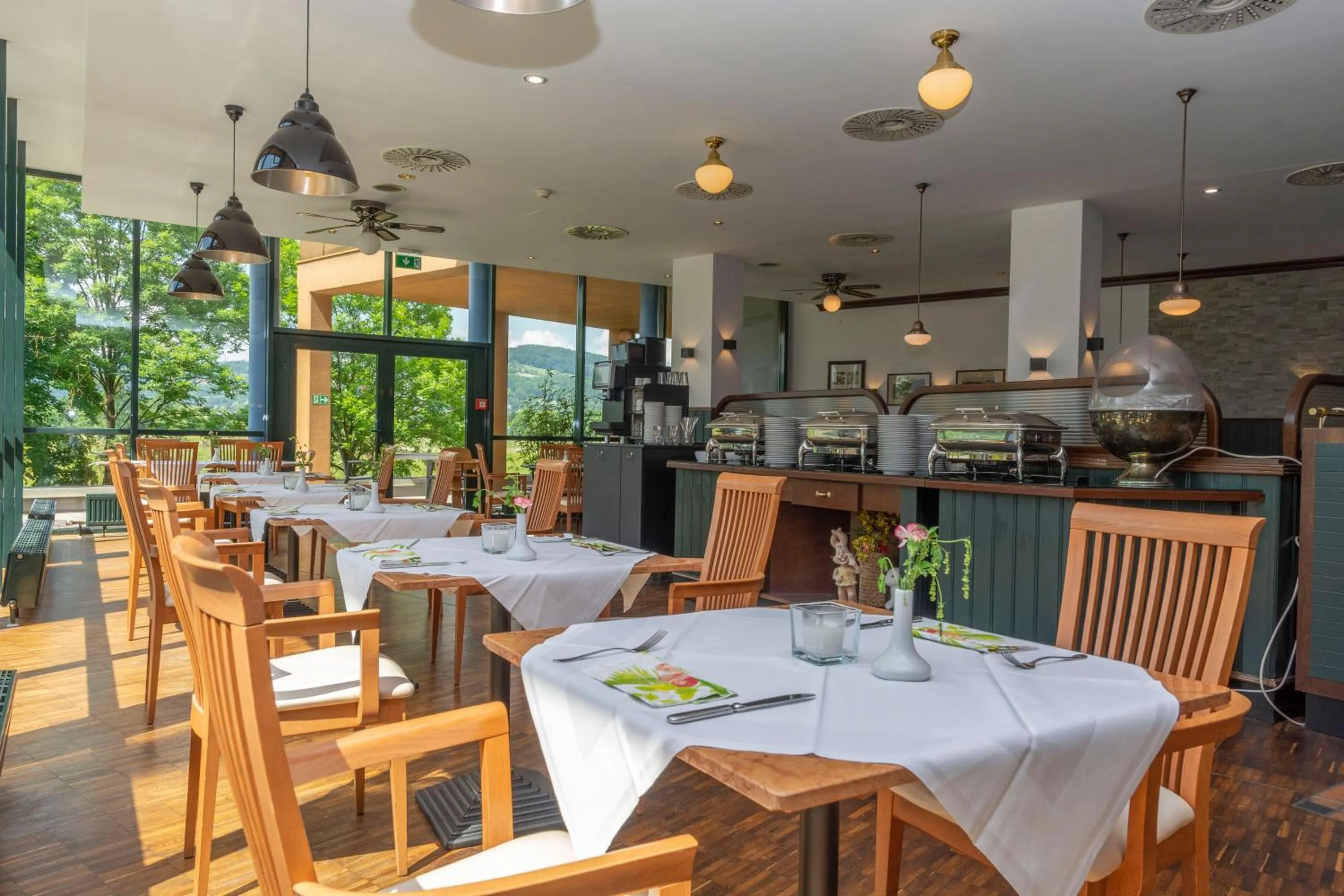 Restaurant/places to eat in Trans World Hotel Donauwelle